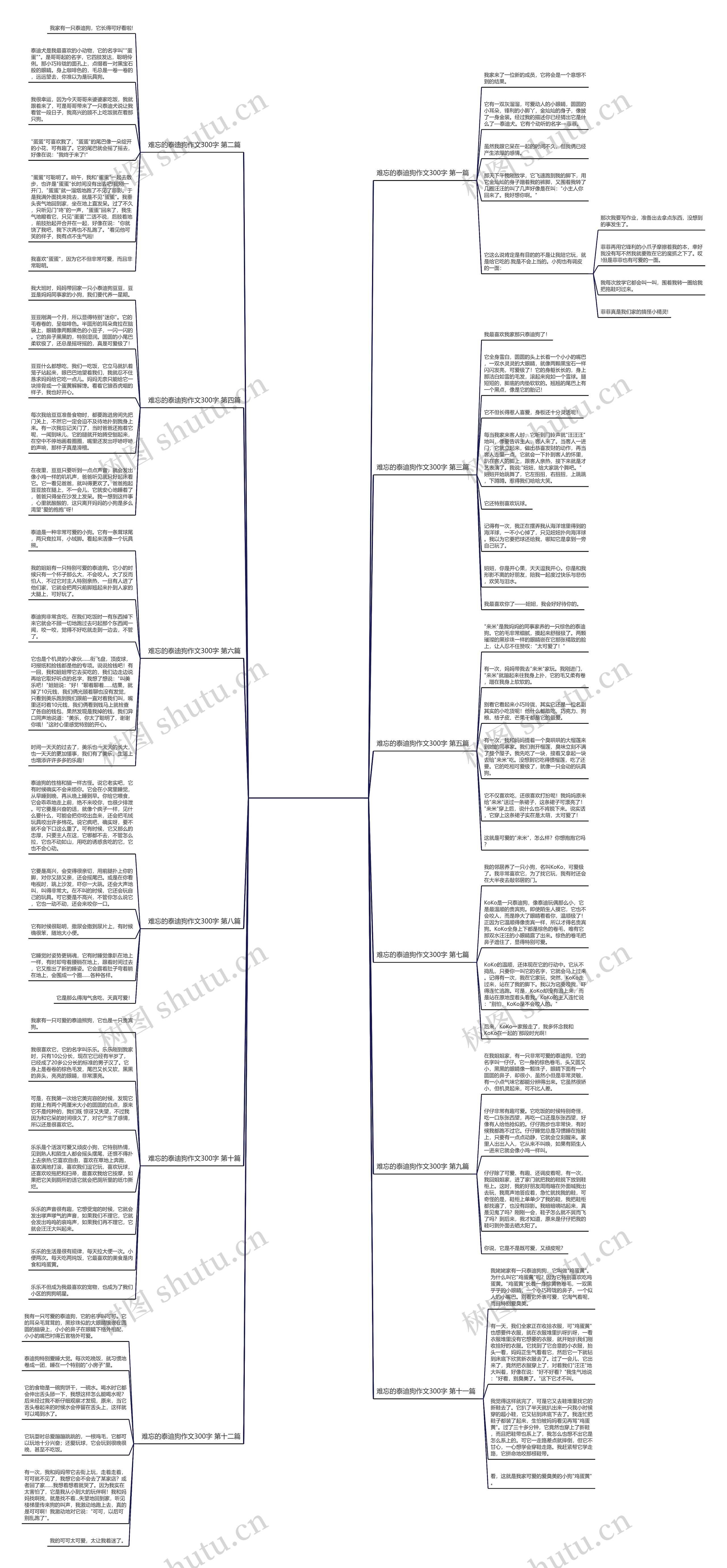 难忘的泰迪狗作文300字通用12篇