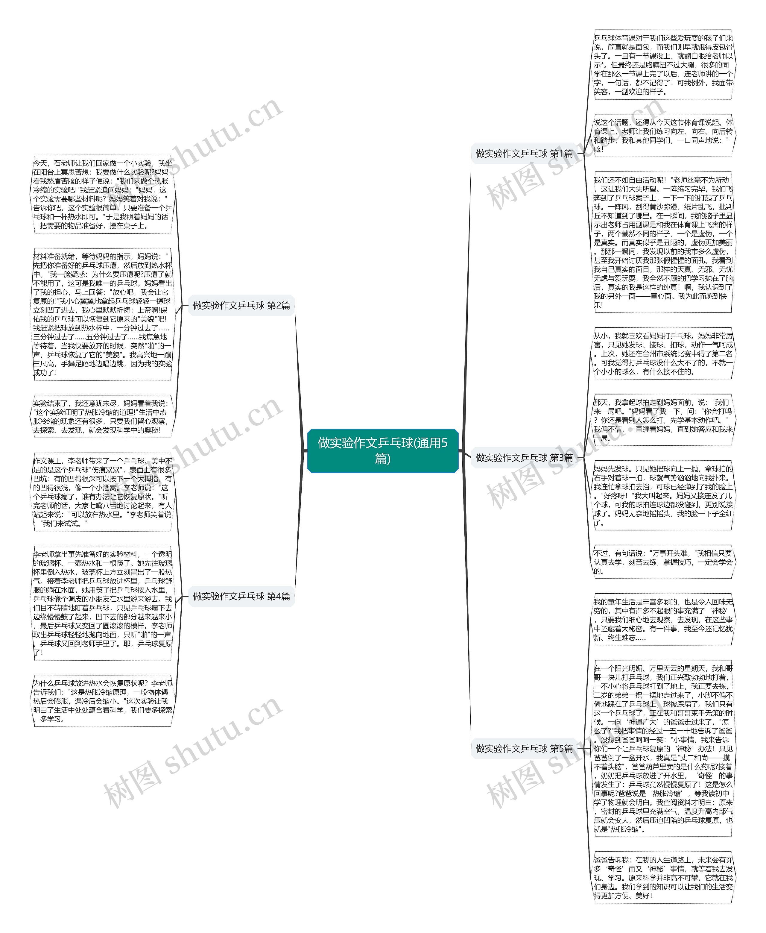 做实验作文乒乓球(通用5篇)思维导图
