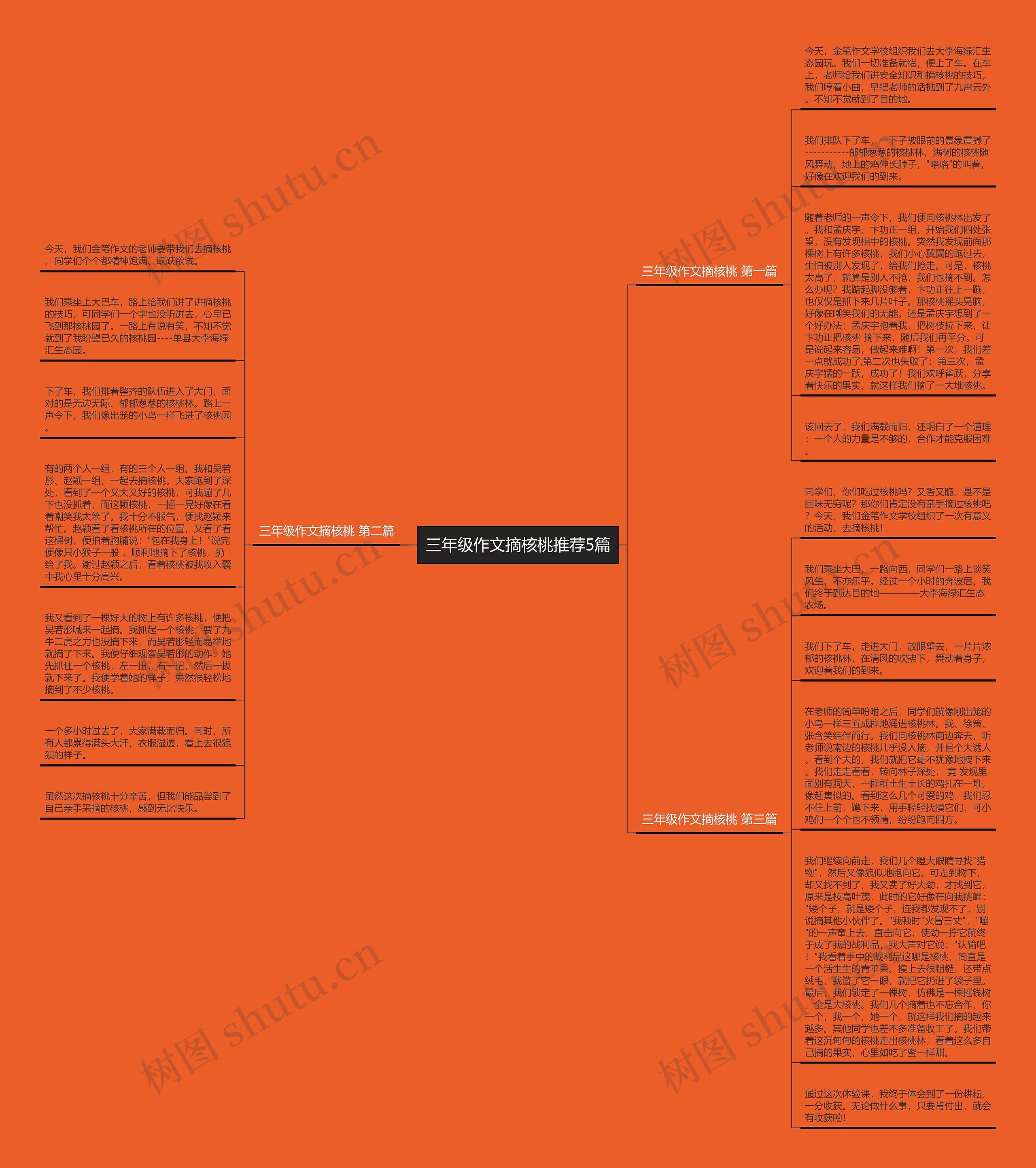 三年级作文摘核桃推荐5篇思维导图