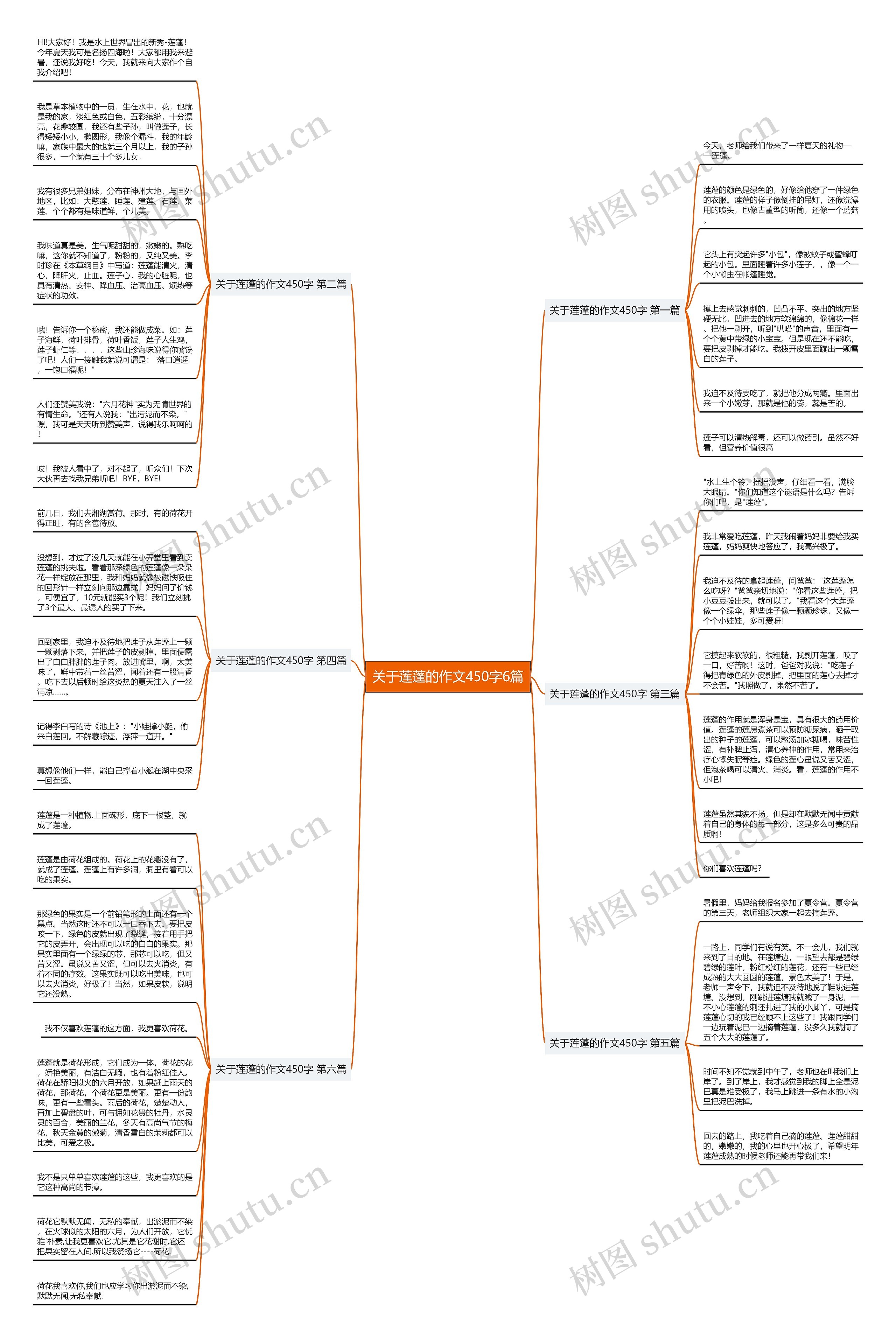 关于莲蓬的作文450字6篇思维导图