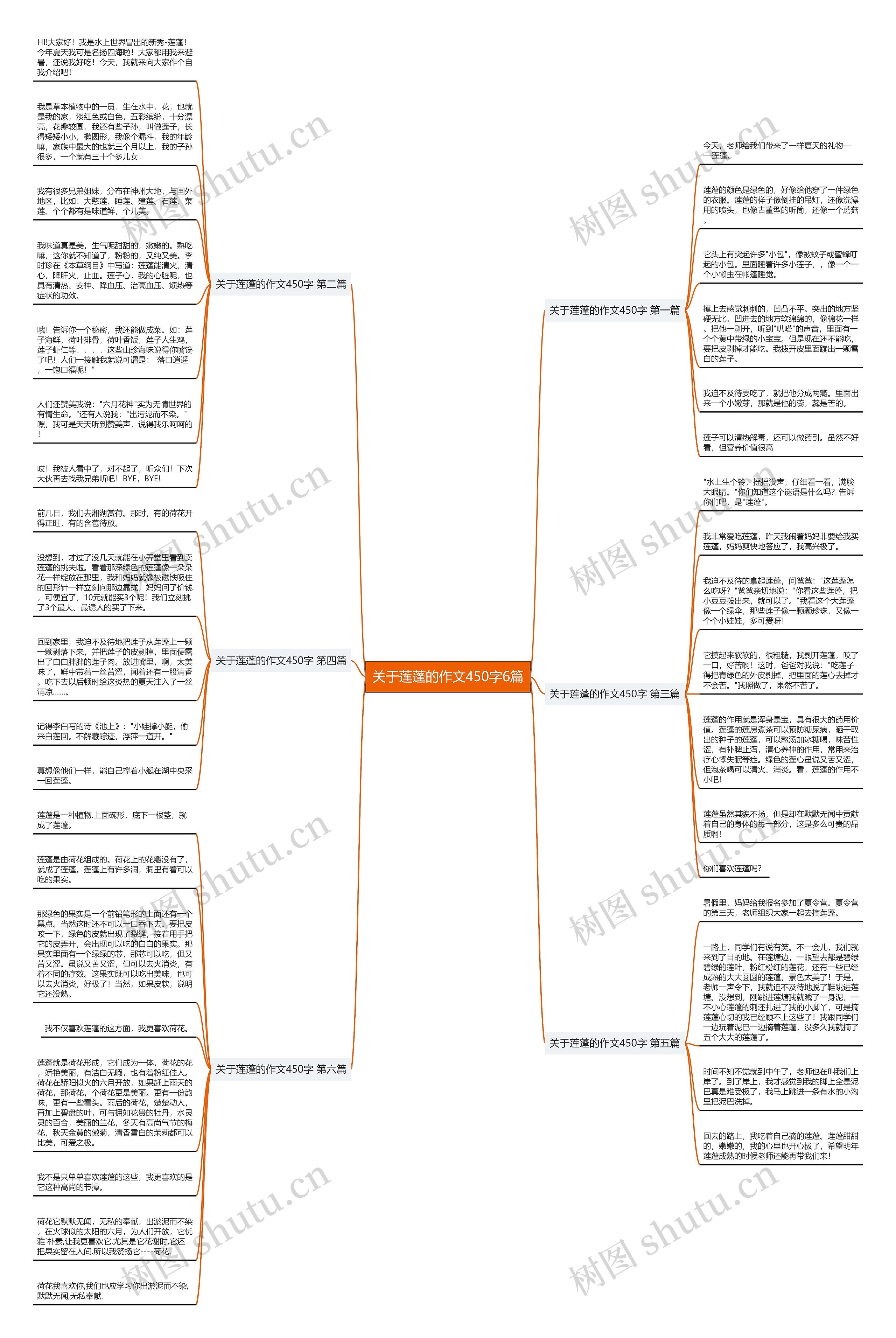 关于莲蓬的作文450字6篇 关于莲蓬的作文450字6篇