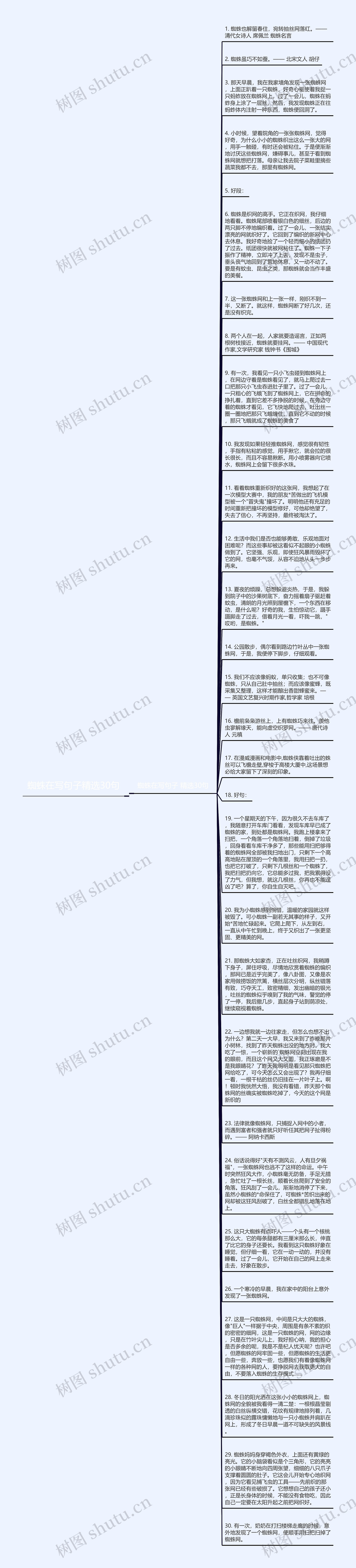 蜘蛛在写句子精选30句思维导图