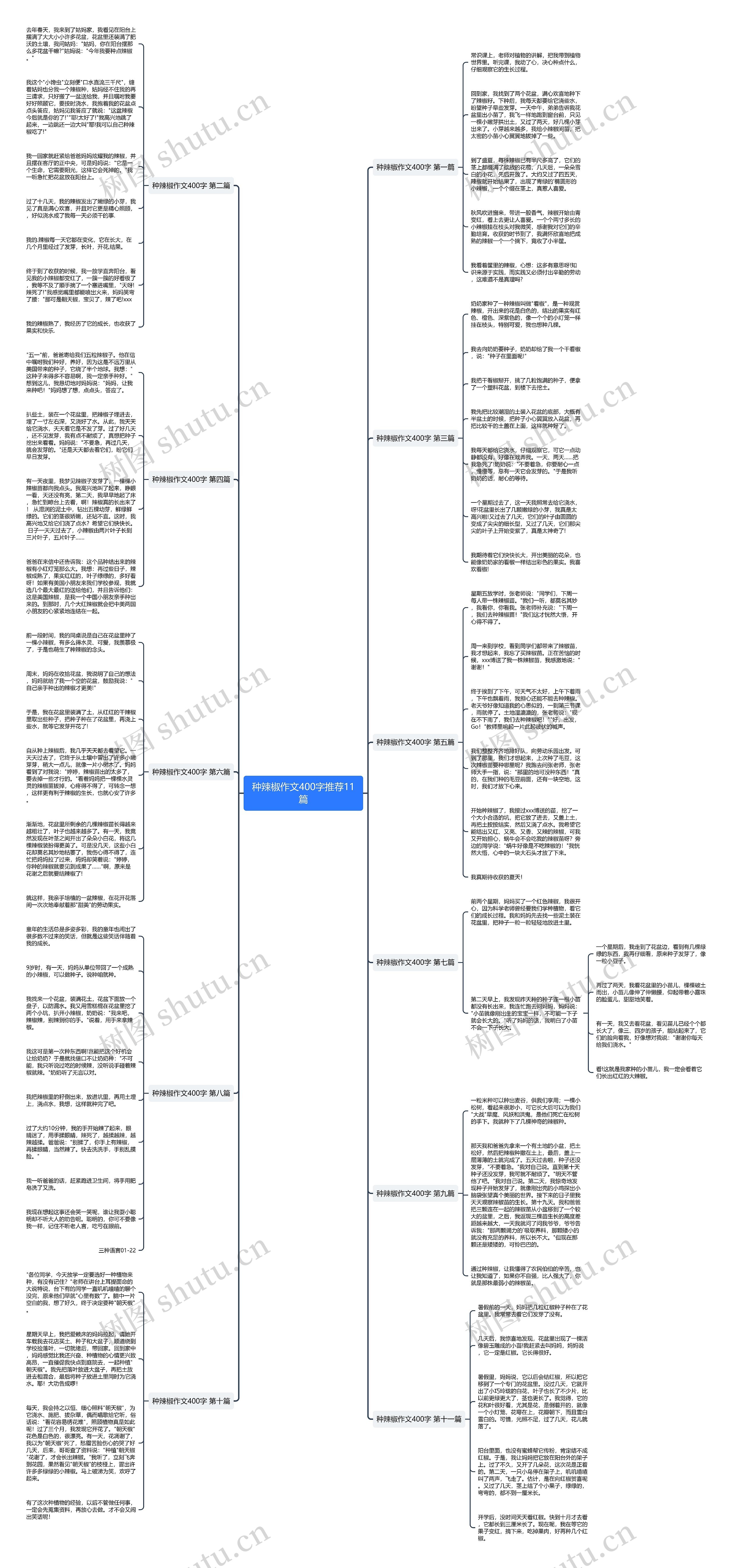 种辣椒作文400字推荐11篇思维导图