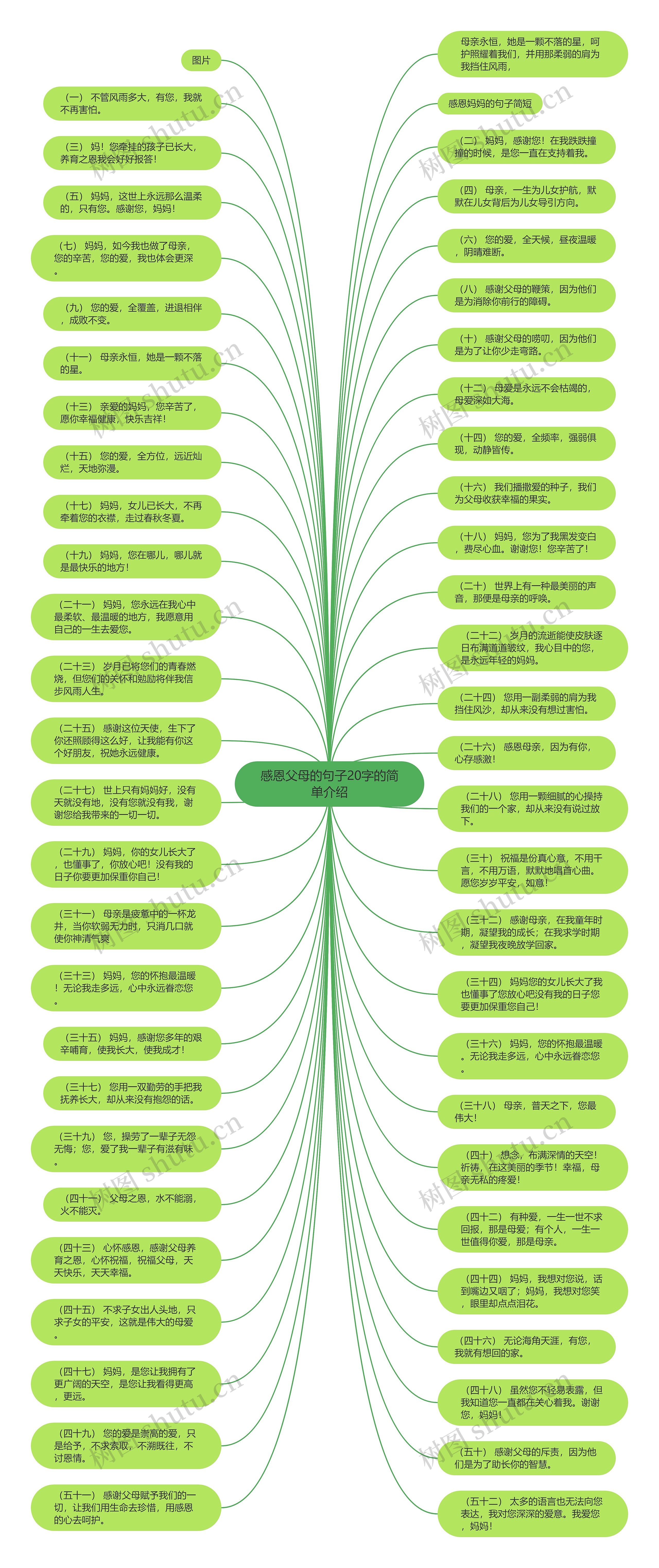 感恩父母的句子20字的简单介绍思维导图