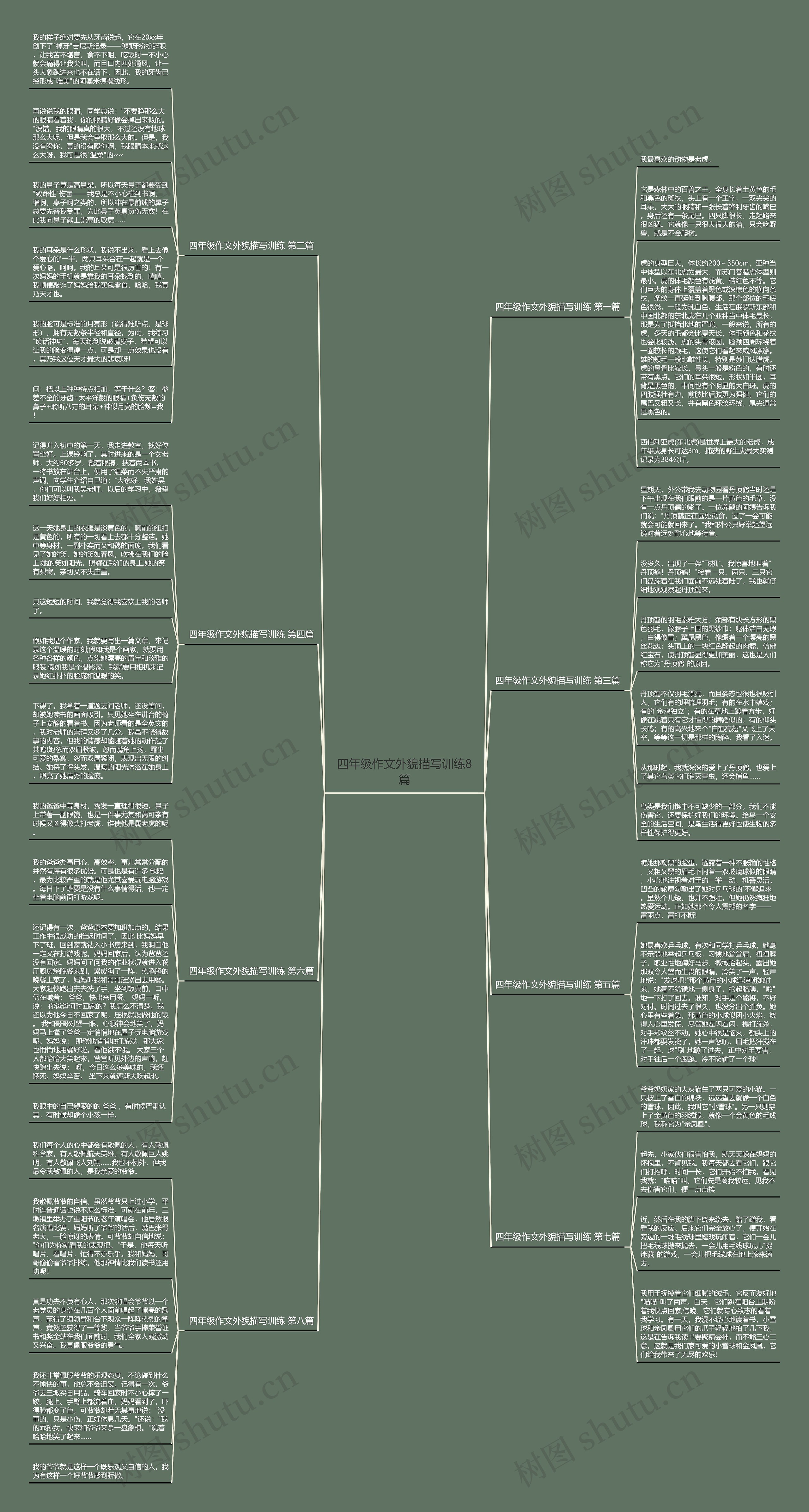 四年级作文外貌描写训练8篇思维导图