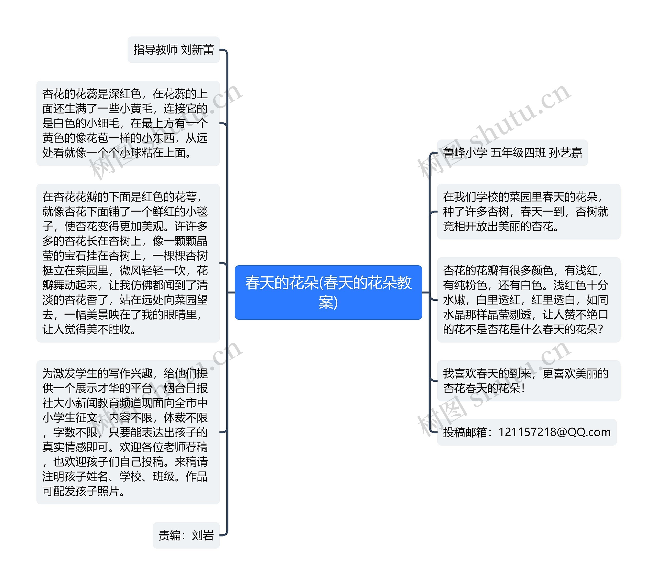 春天的花朵(春天的花朵教案)思维导图