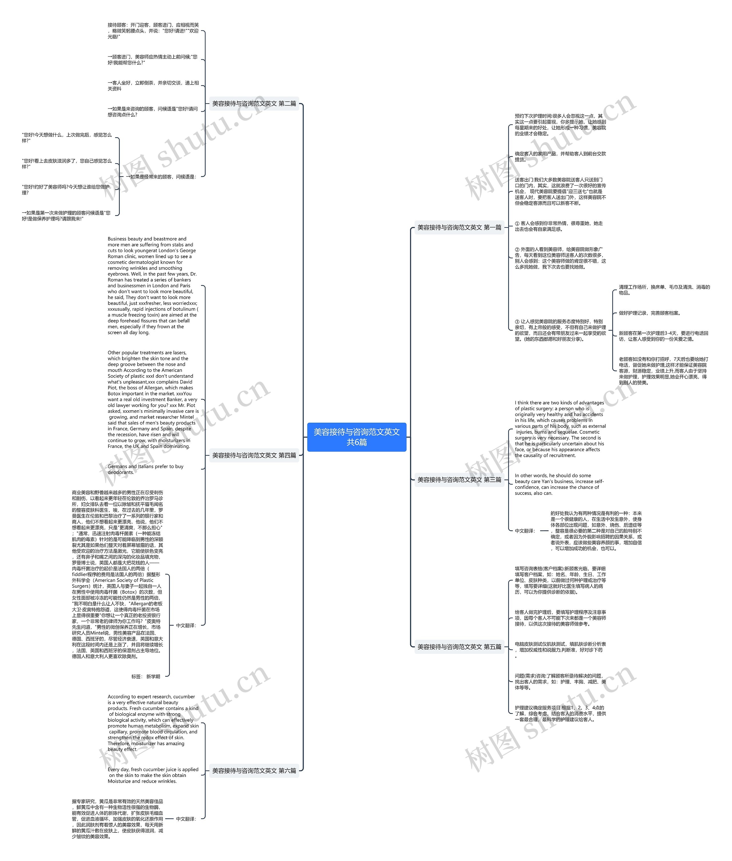 美容接待与咨询范文英文共6篇思维导图