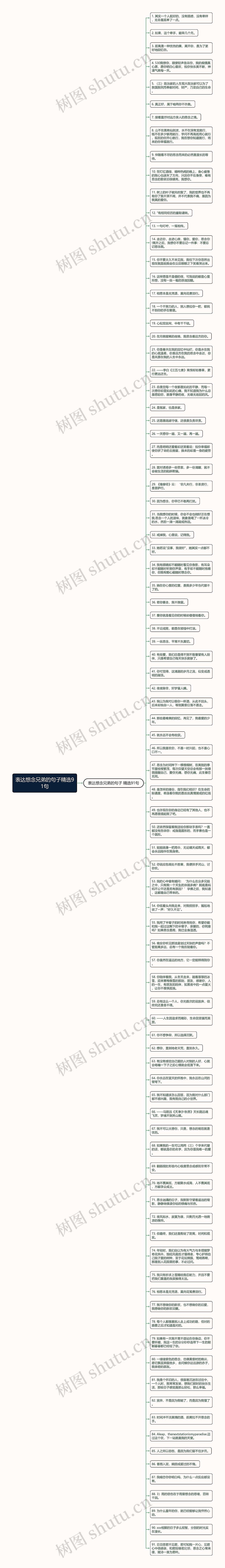 表达想念兄弟的句子精选91句思维导图