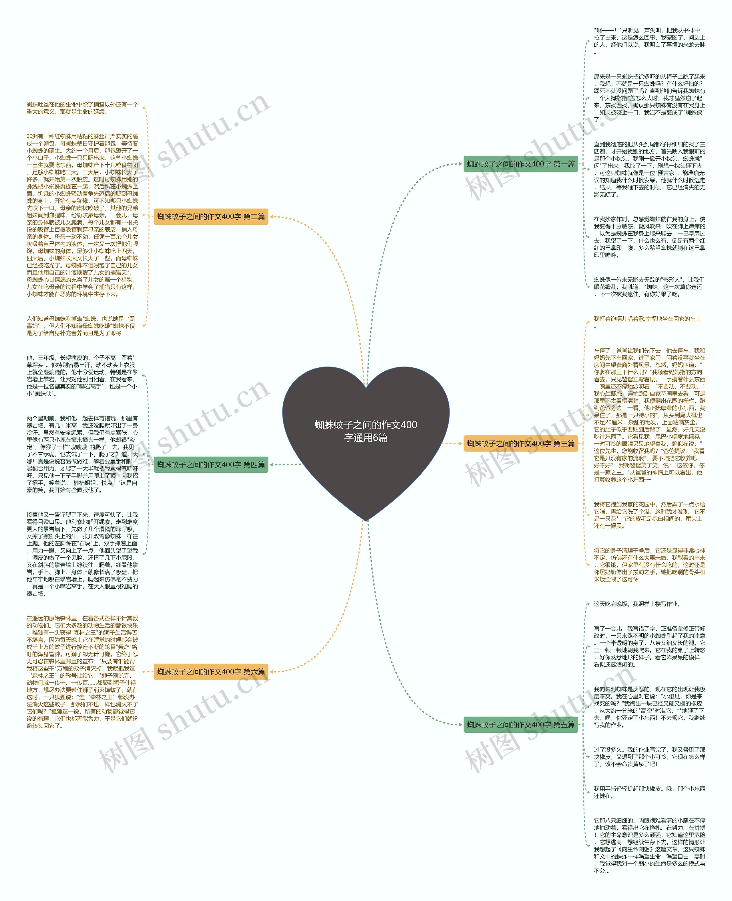 蜘蛛蚊子之间的作文400字通用6篇思维导图