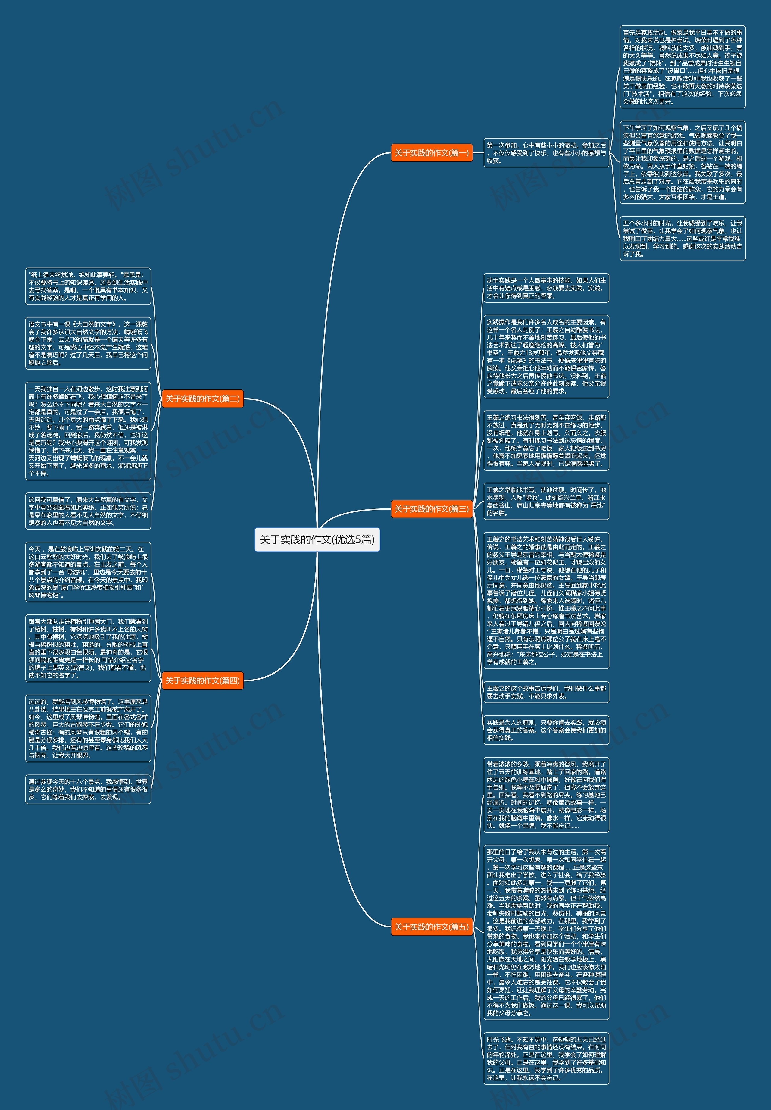 关于实践的作文(优选5篇)思维导图