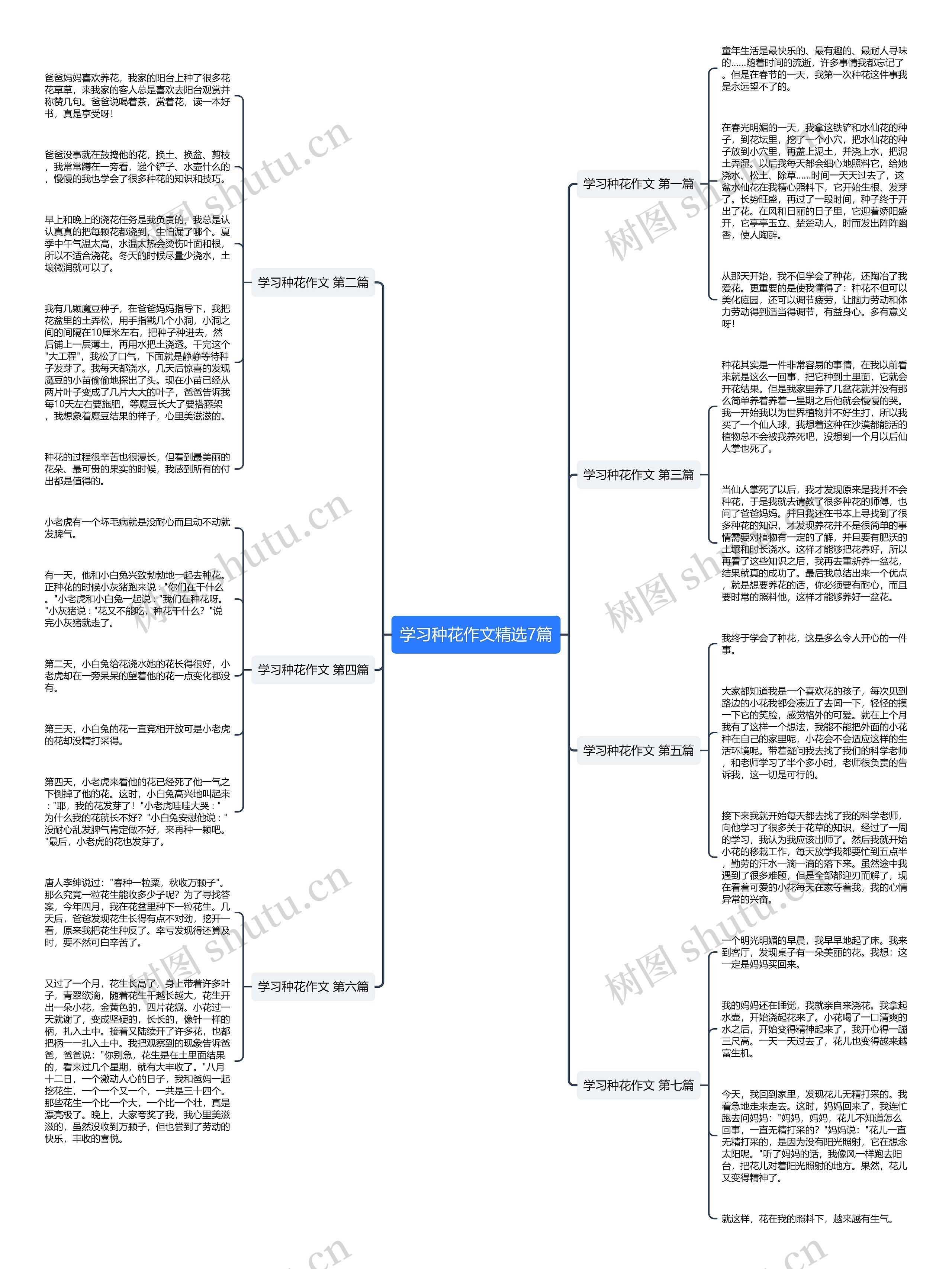 学习种花作文精选7篇思维导图