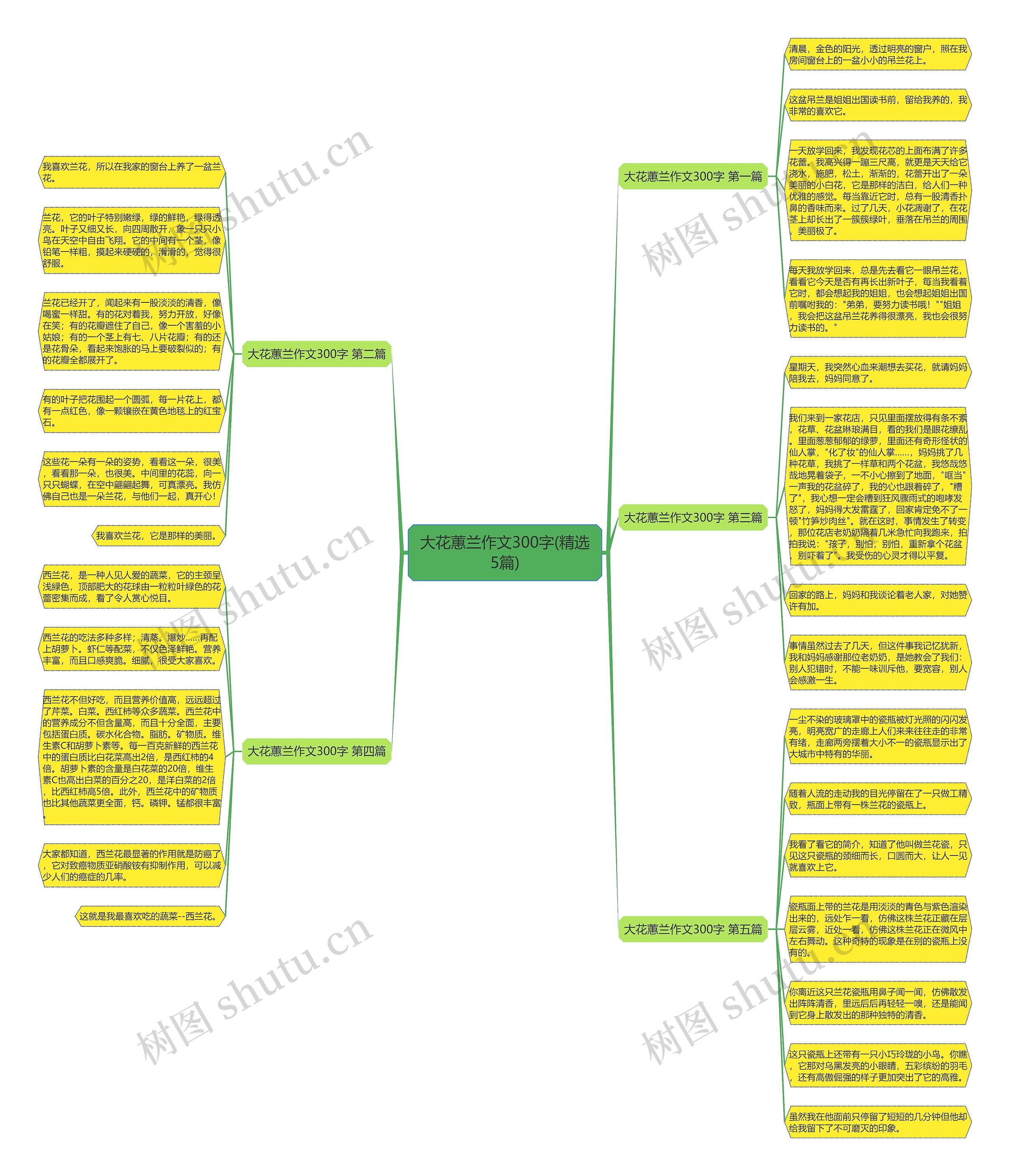 大花蕙兰作文300字(精选5篇) 大花蕙兰作文300字(精选5篇)