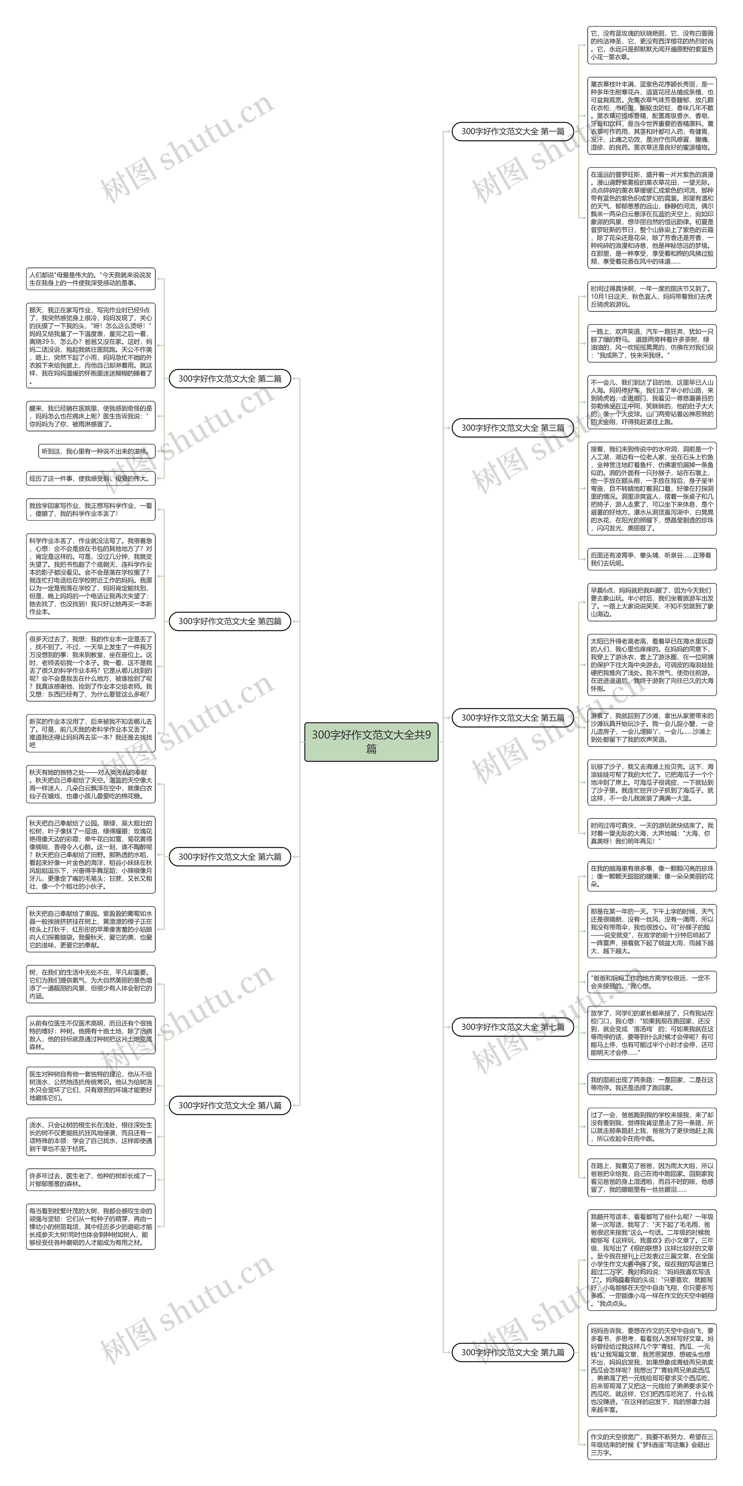 300字好作文范文大全共9篇思维导图