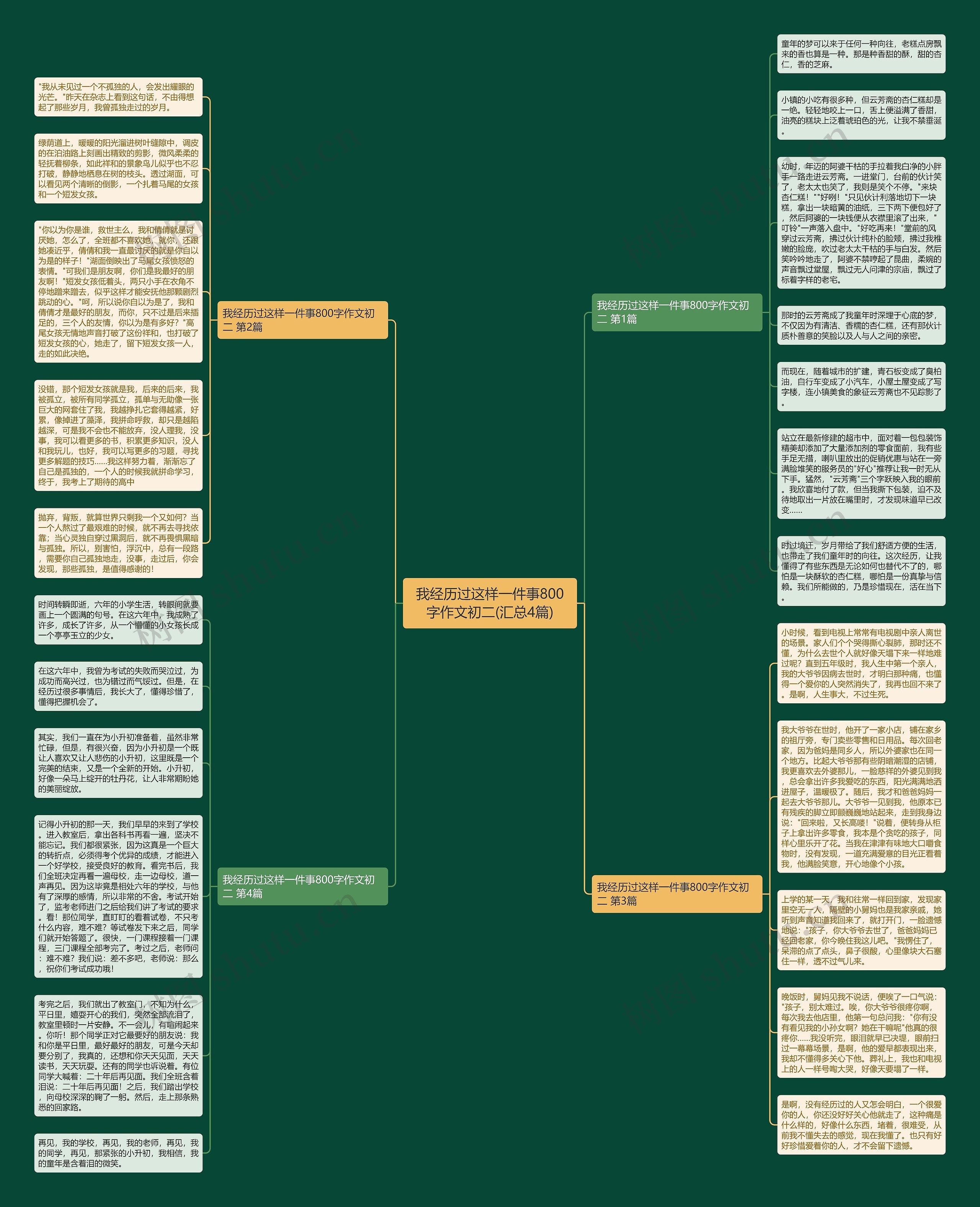 我经历过这样一件事800字作文初二(汇总4篇)思维导图