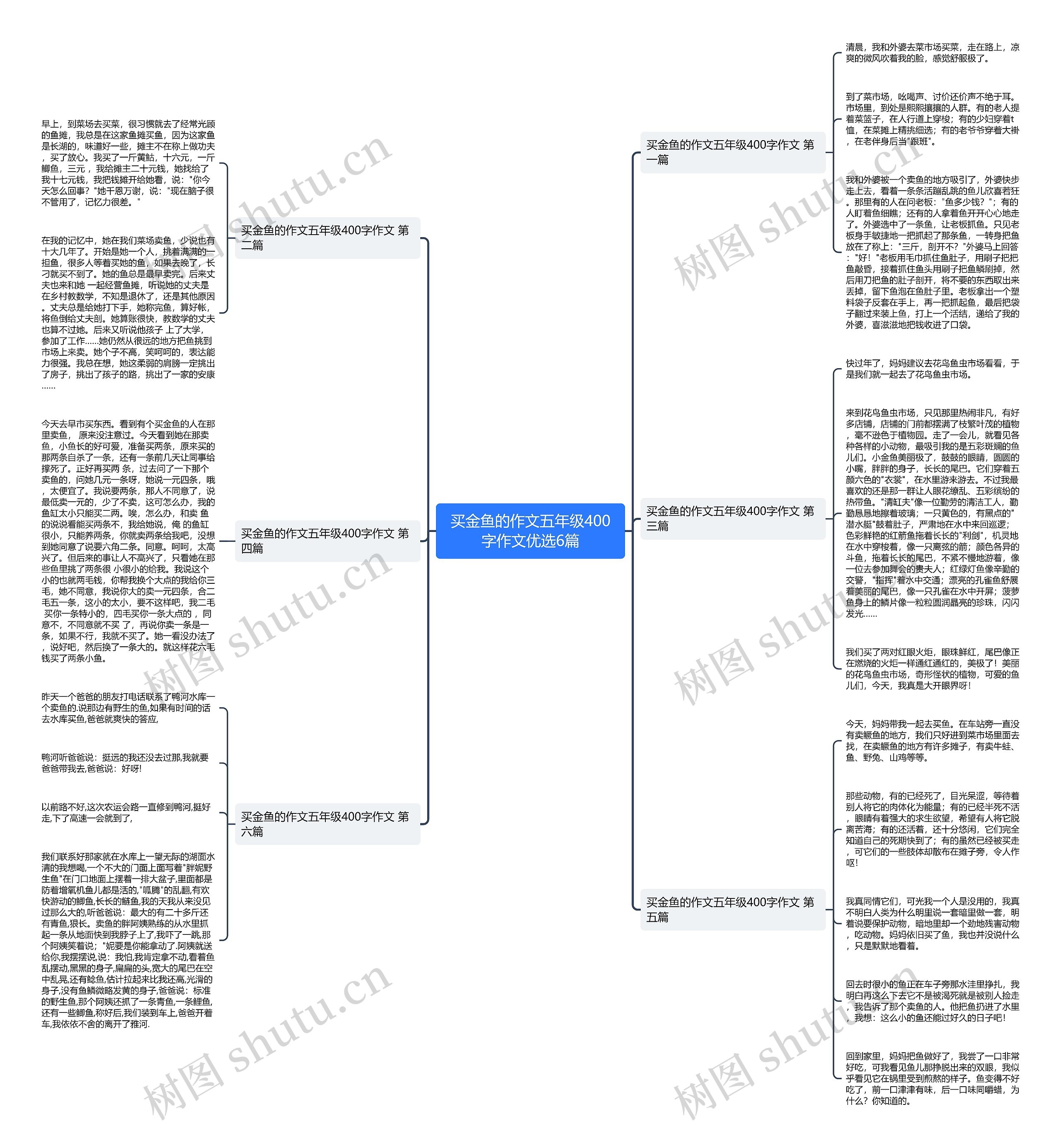 买金鱼的作文五年级400字作文优选6篇思维导图