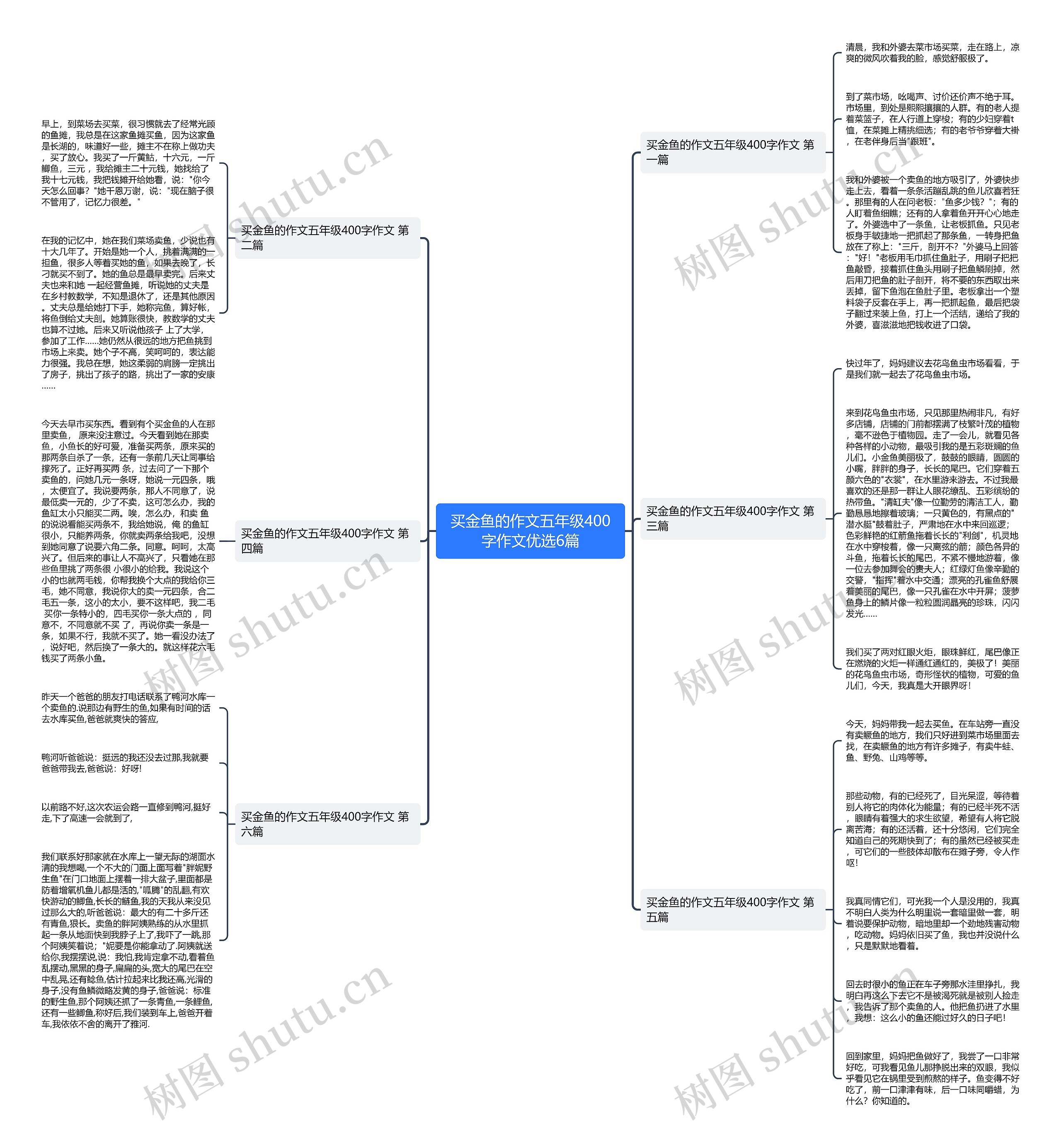 买金鱼的作文五年级400字作文优选6篇 买金鱼的作文五年级400字作文优选6篇