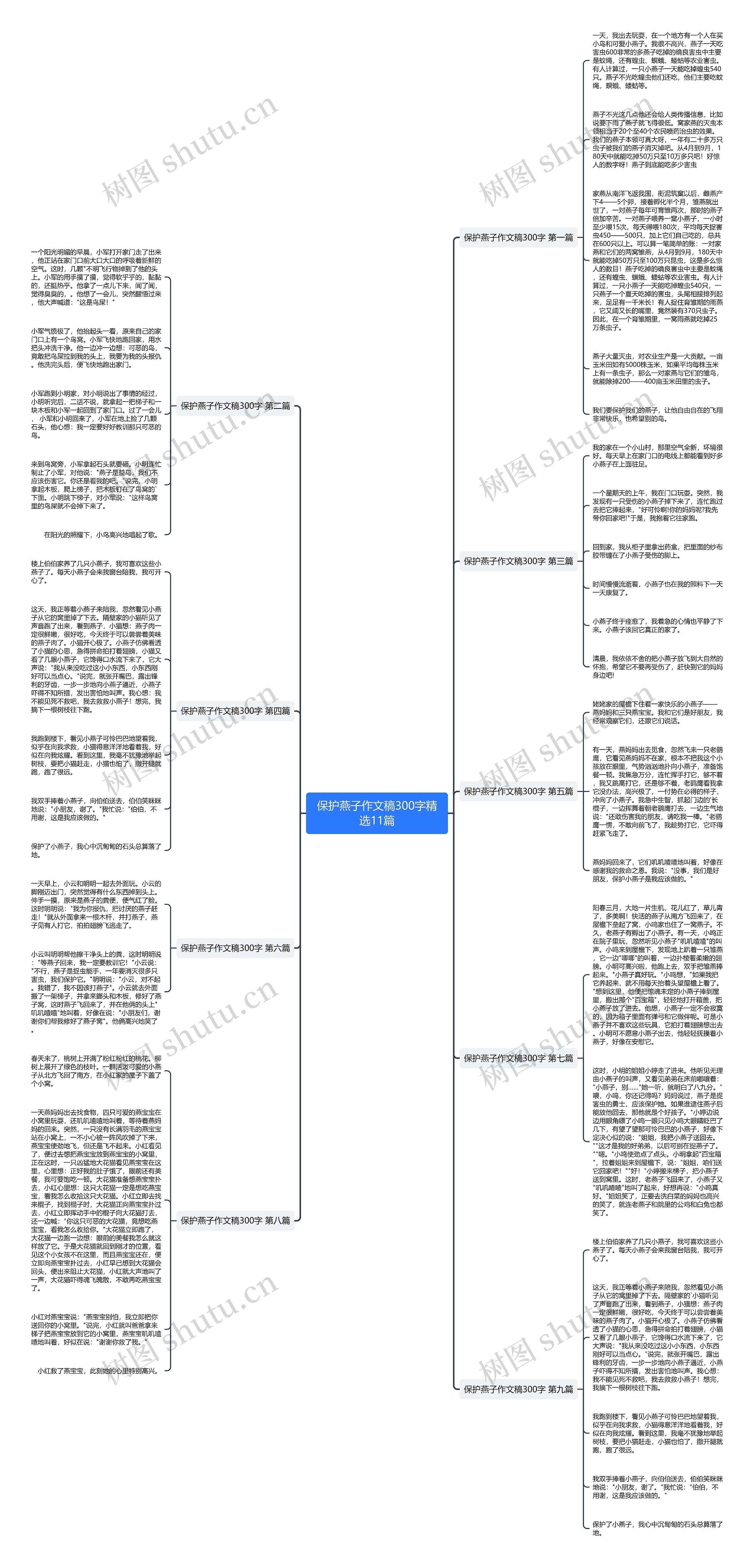 保护燕子作文稿300字精选11篇思维导图