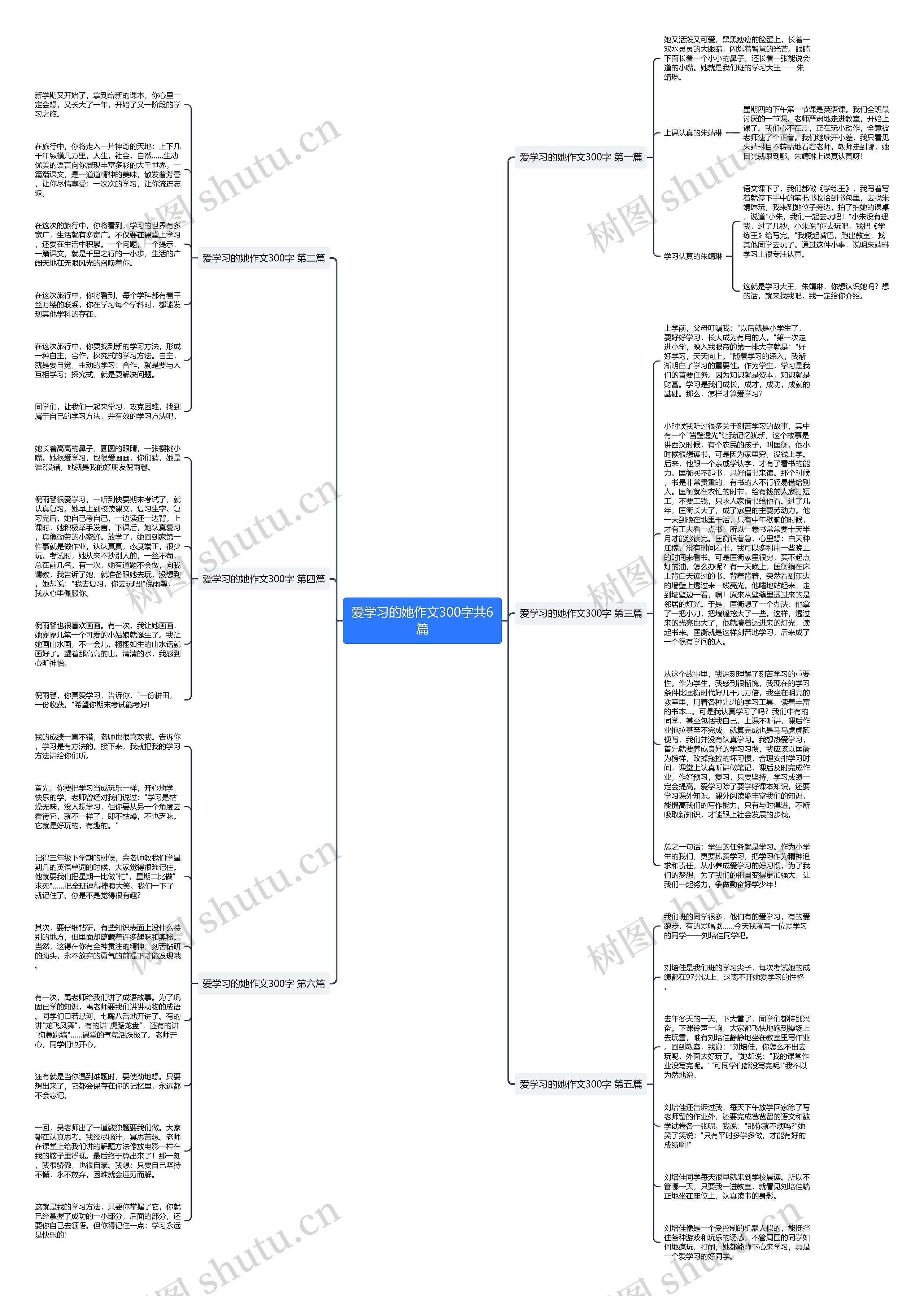 爱学习的她作文300字共6篇思维导图