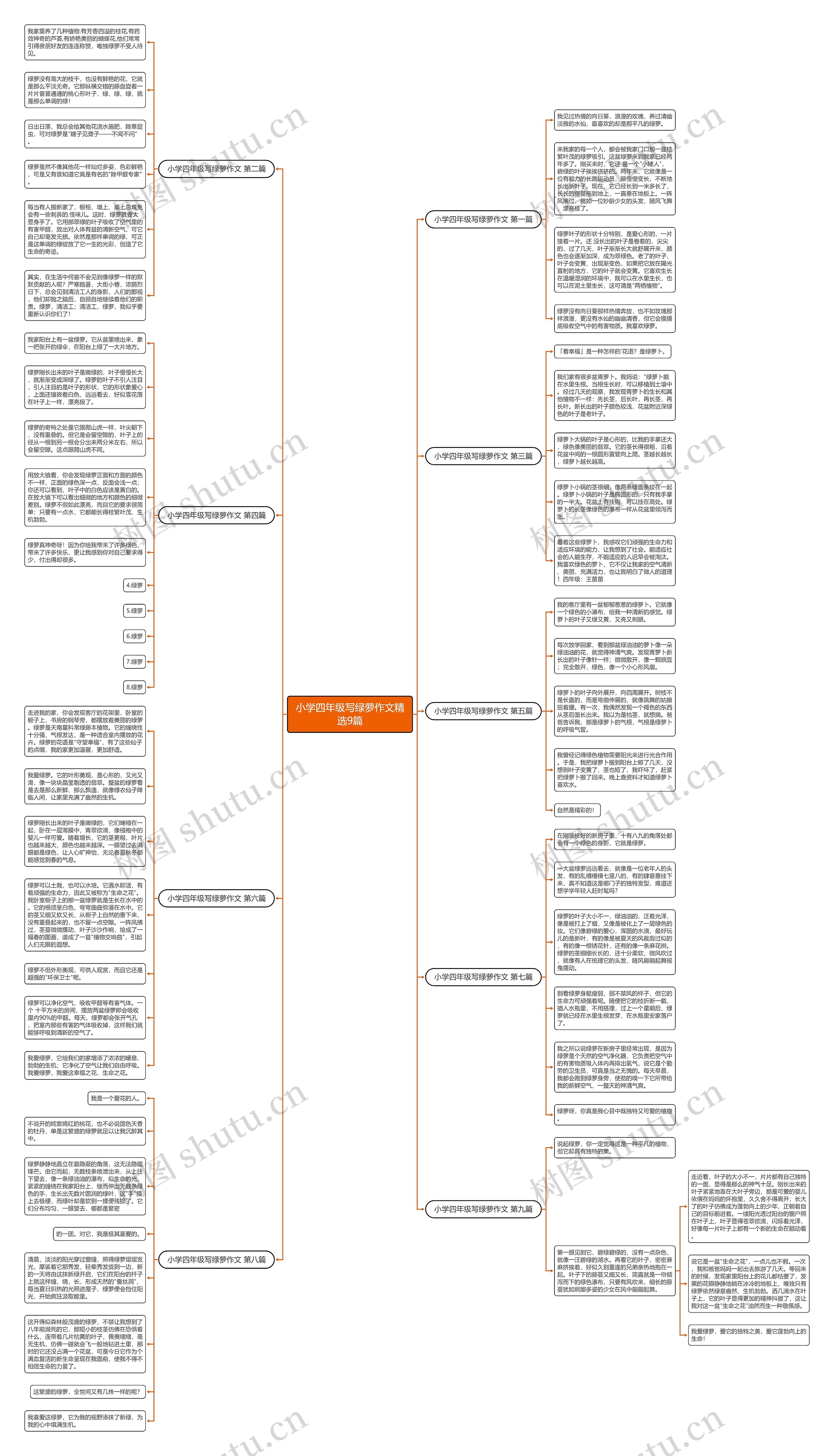小学四年级写绿萝作文精选9篇思维导图