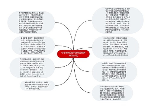 句子拼音怎么写(雪花的拼音怎么写)