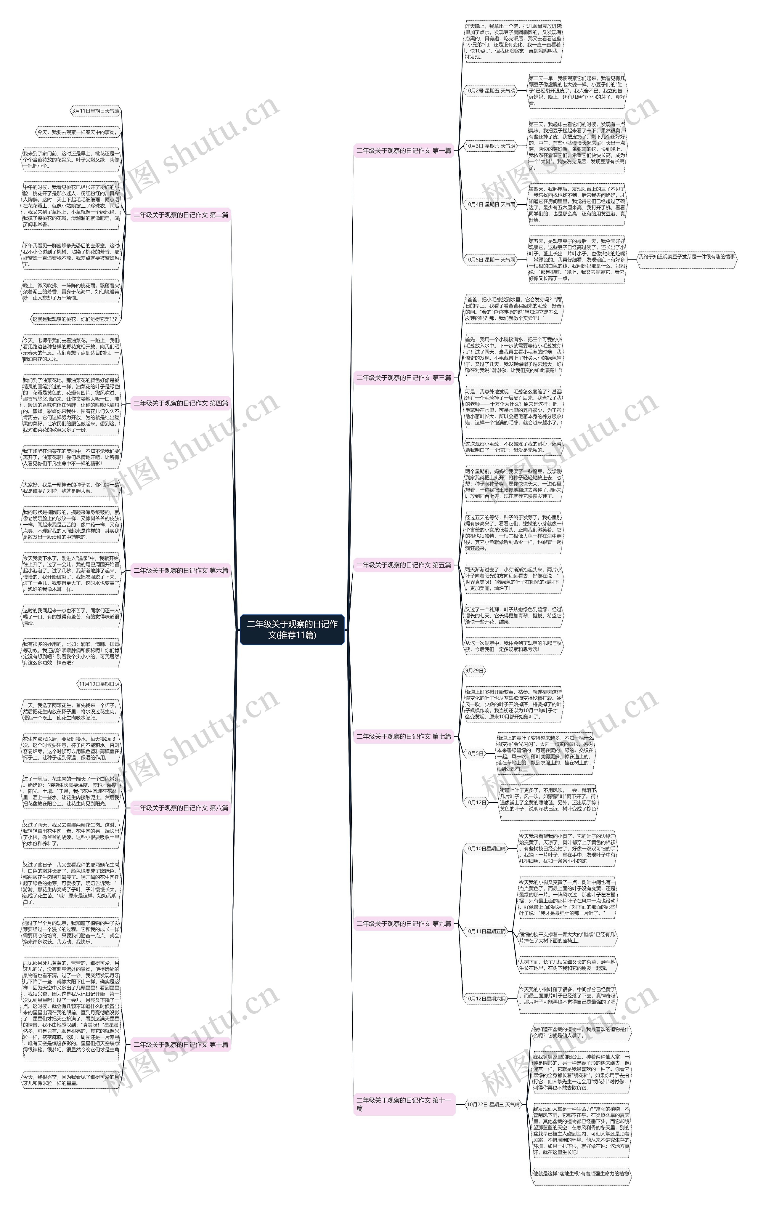 二年级关于观察的日记作文(推荐11篇) 二年级关于观察的日记作文(推荐11篇)