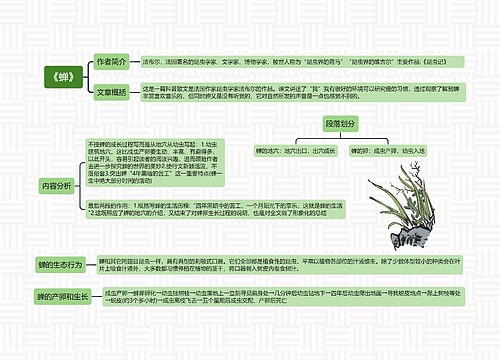 《蝉》思维导图