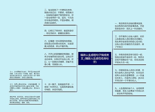 精辟人生感悟句子情感美文_(精辟人生感悟经典句子)