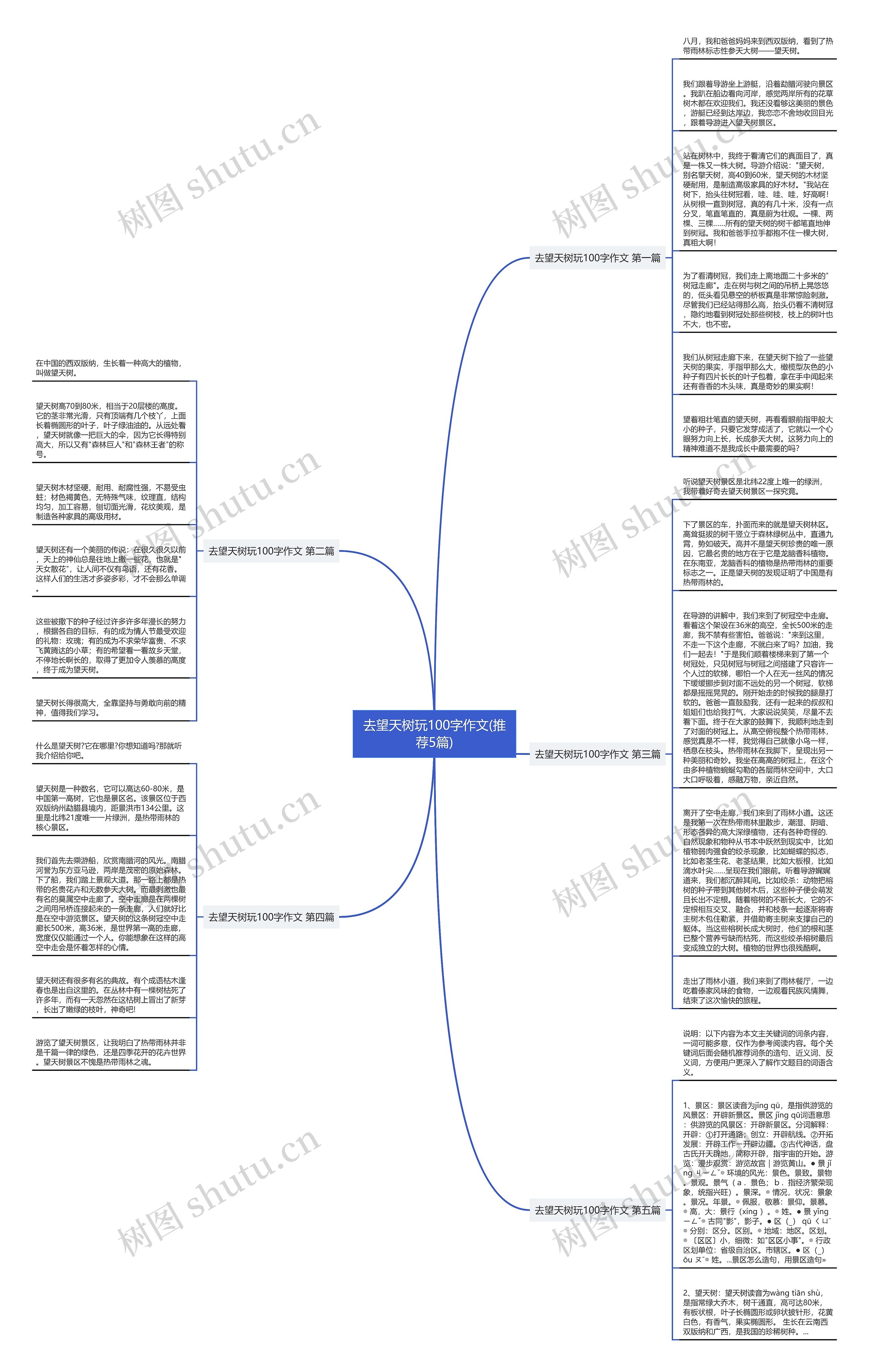 去望天树玩100字作文(推荐5篇)思维导图