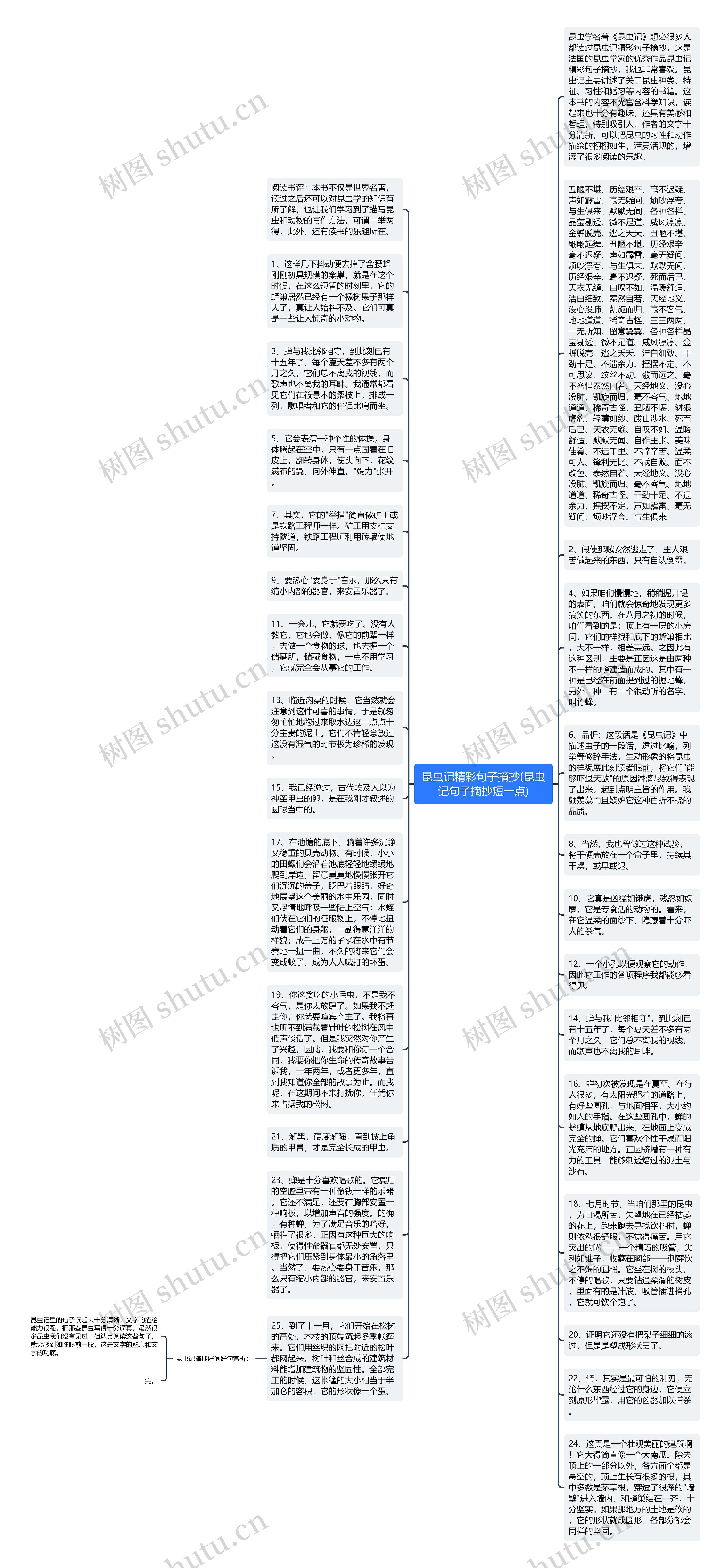 昆虫记精彩句子摘抄(昆虫记句子摘抄短一点)思维导图