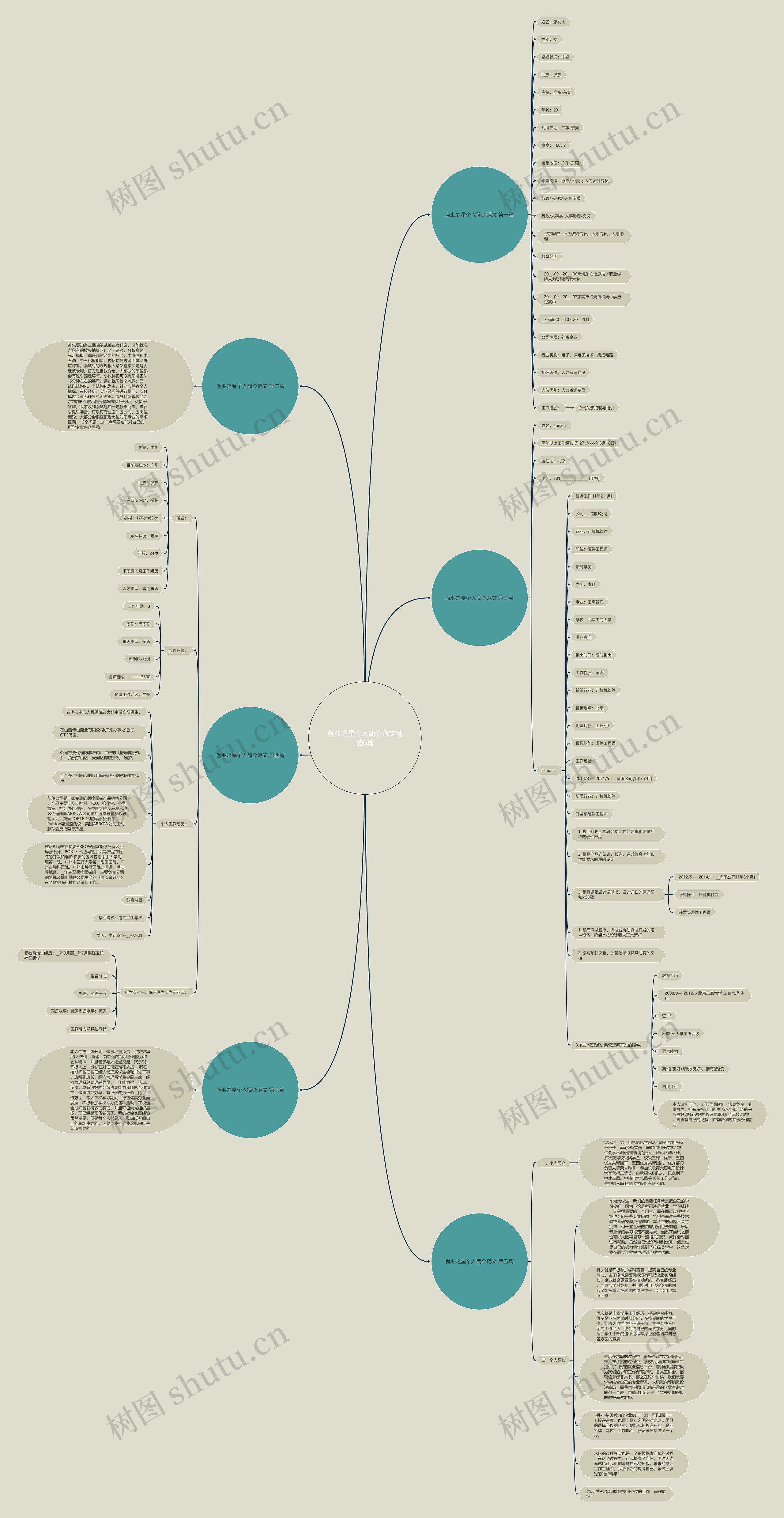 就业之星个人简介范文精选6篇思维导图
