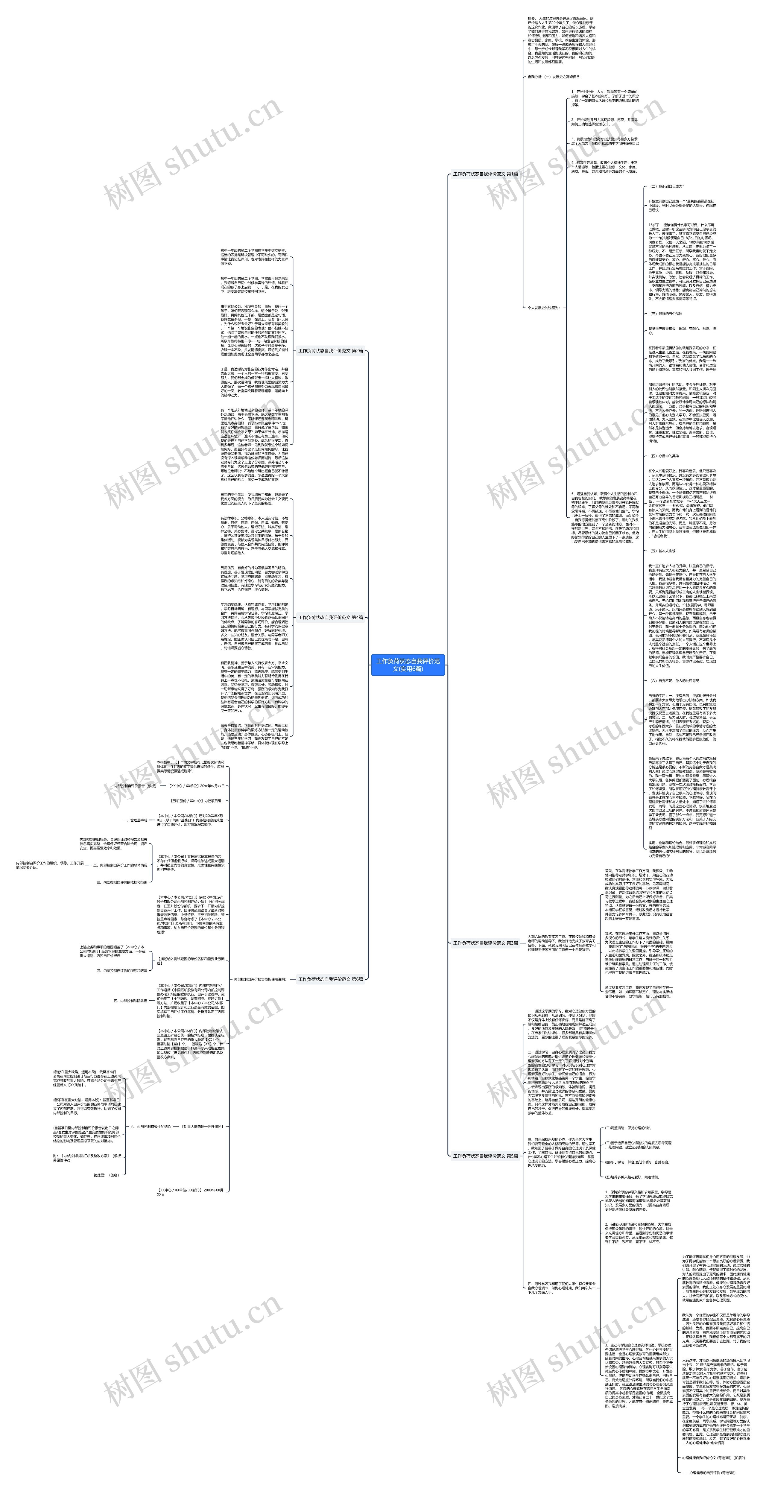 工作负荷状态自我评价范文(实用6篇)思维导图