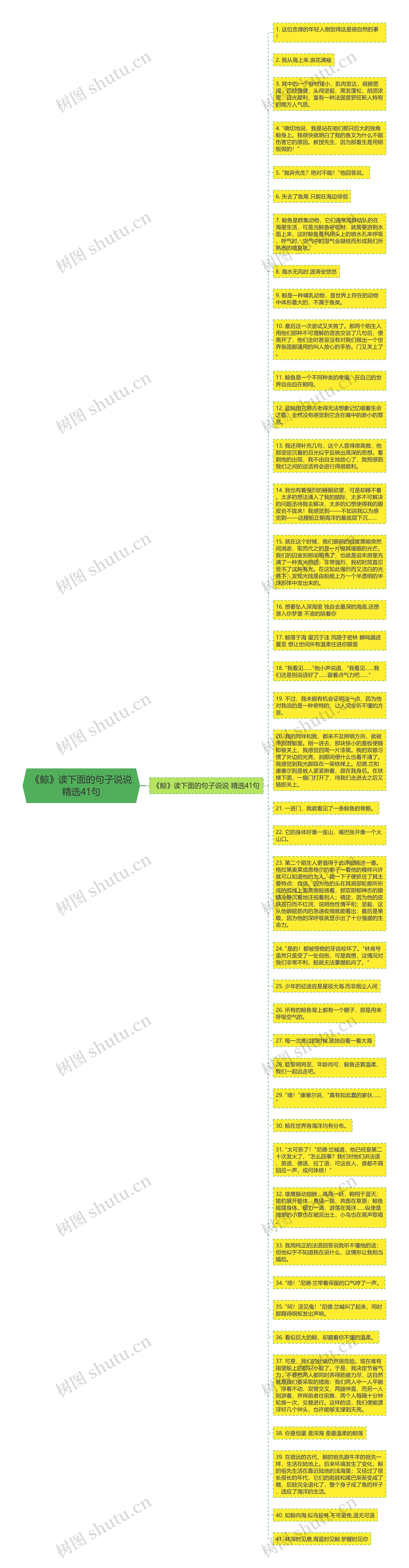 《鲸》读下面的句子说说精选41句