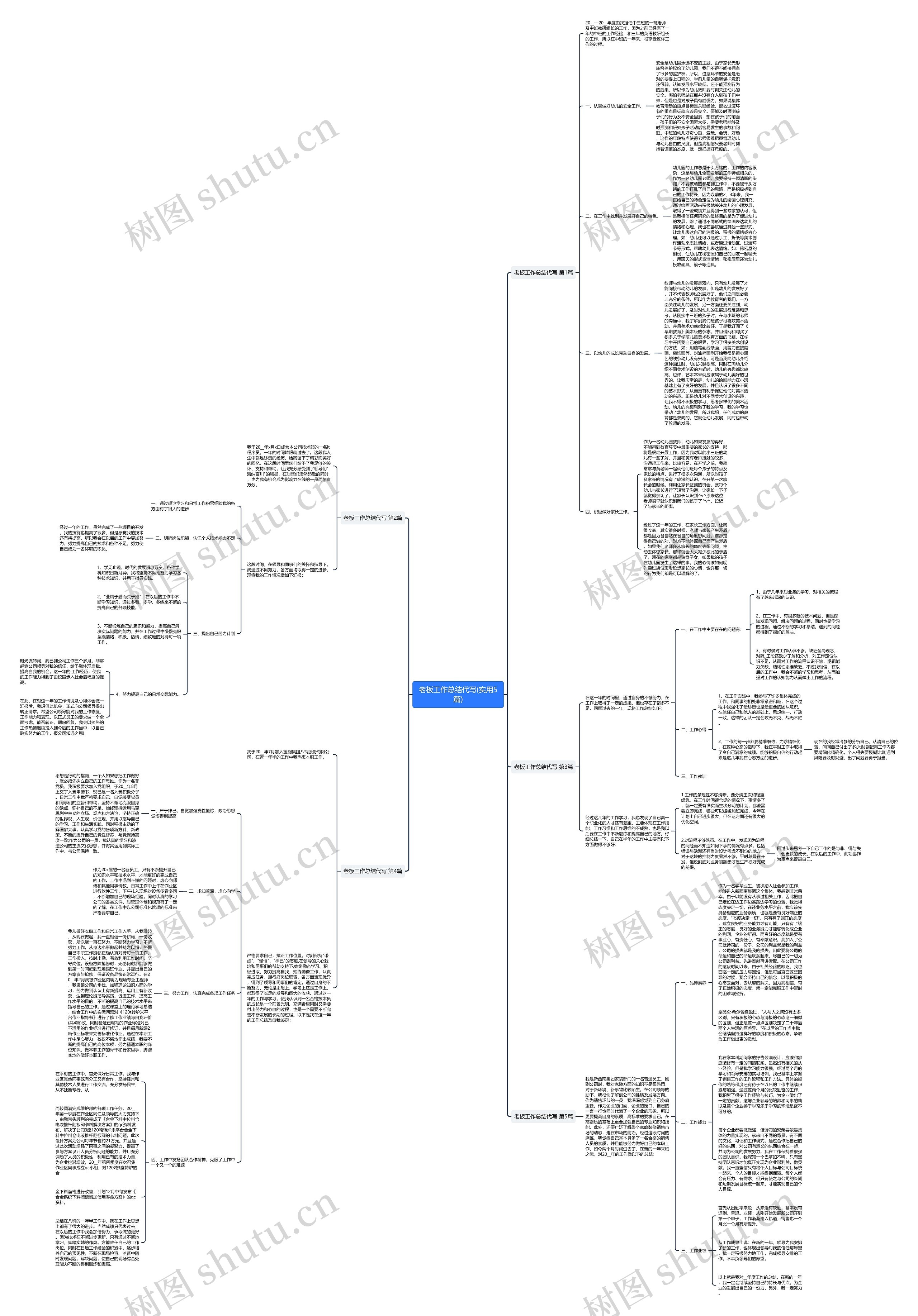 老板工作总结代写(实用5篇)思维导图