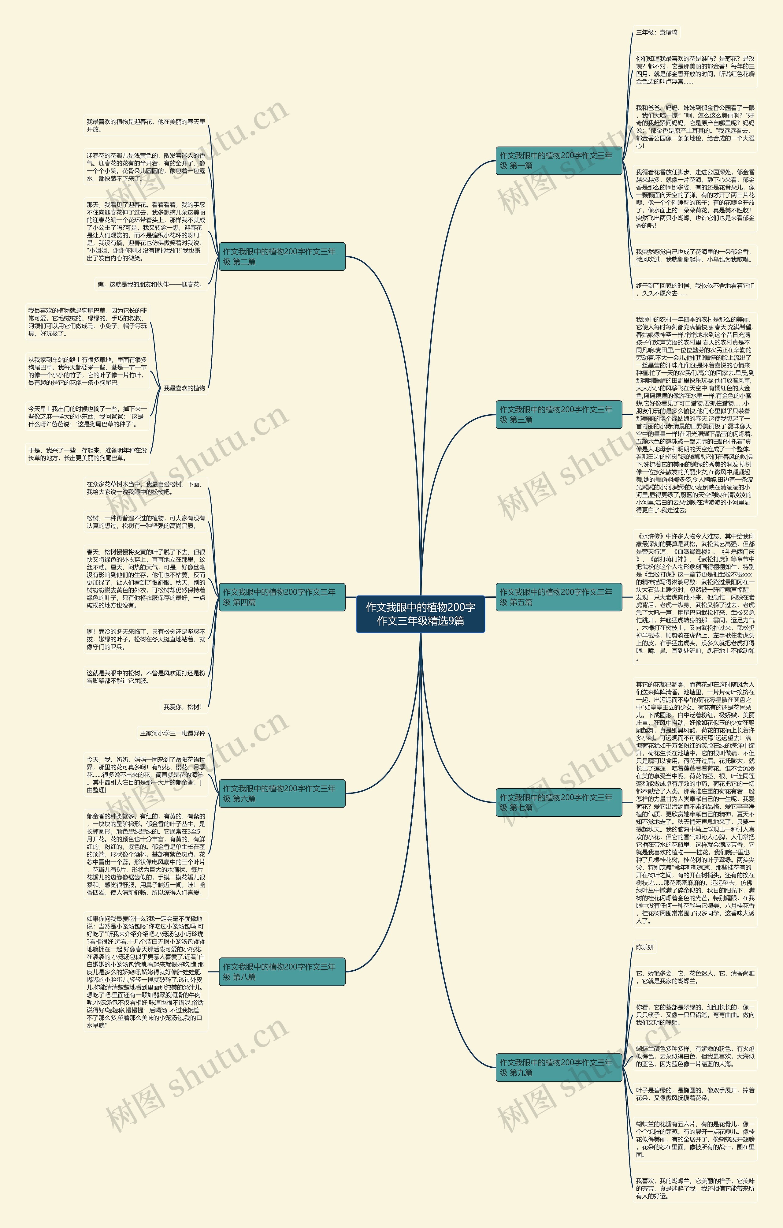 作文我眼中的植物200字作文三年级精选9篇思维导图