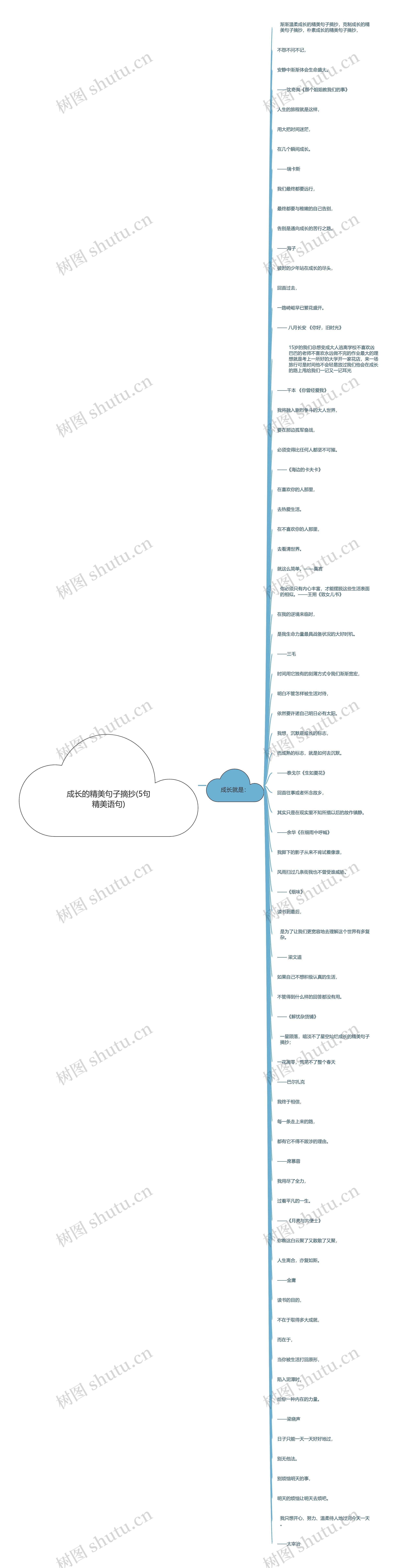 成长的精美句子摘抄(5句精美语句)思维导图