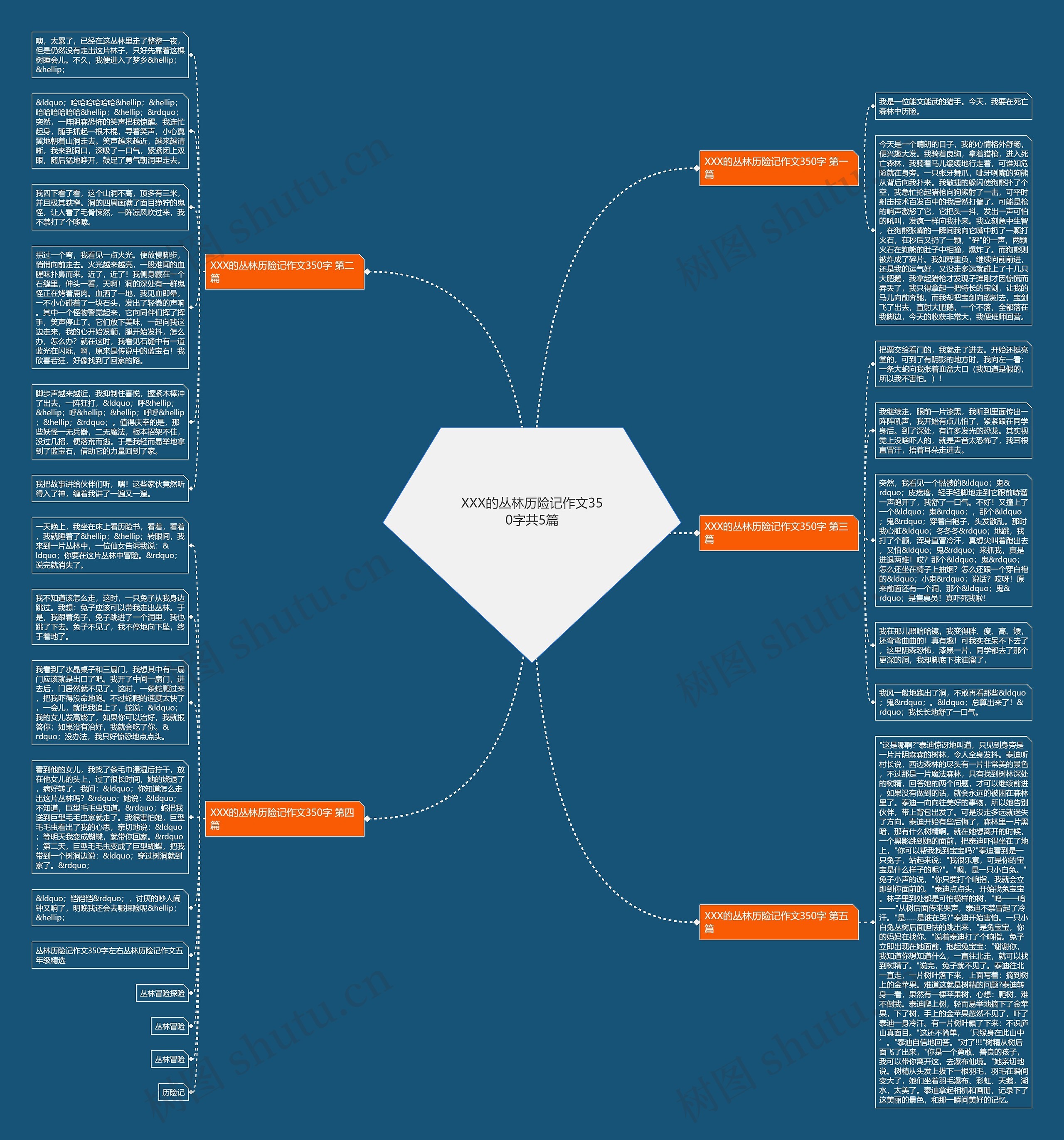 XXX的丛林历险记作文350字共5篇思维导图