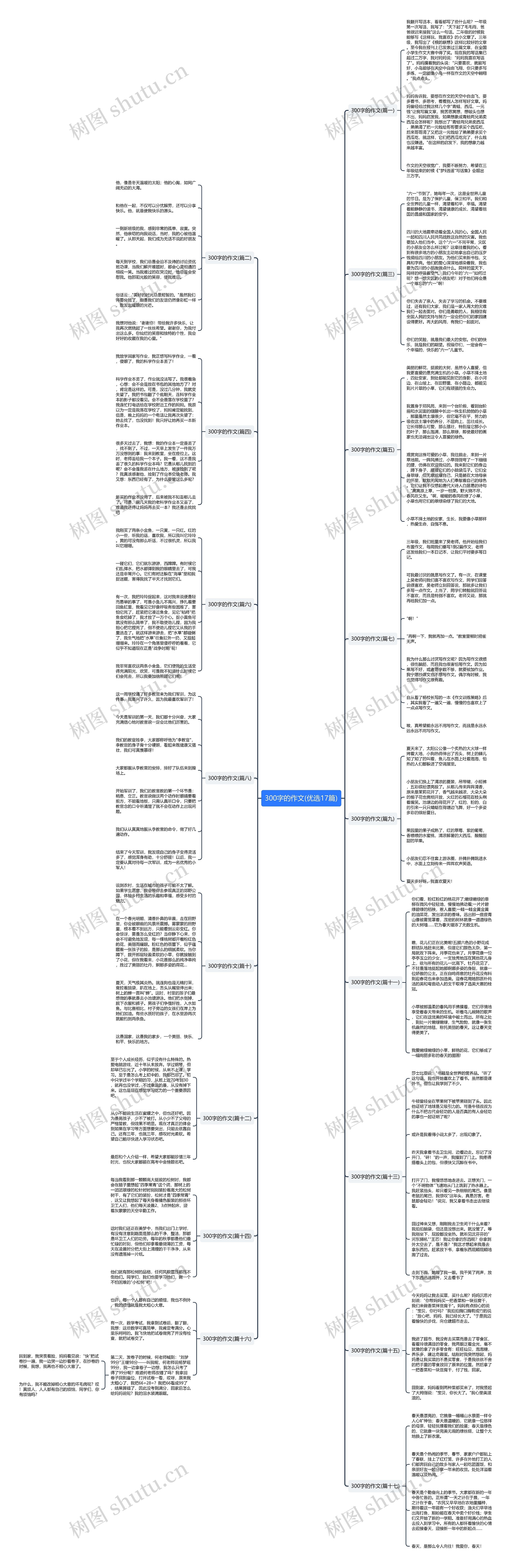300字的作文(优选17篇)思维导图