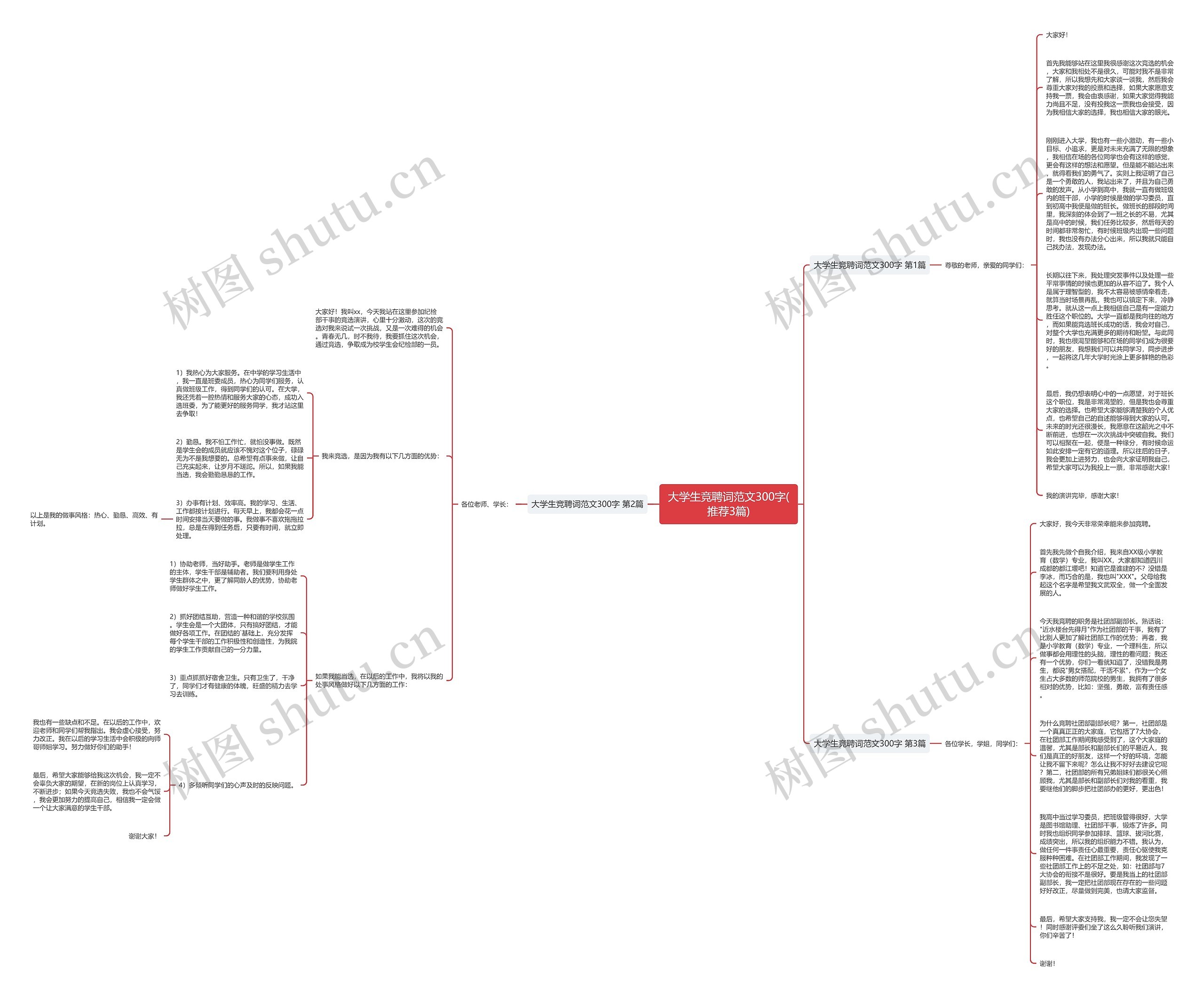 大学生竞聘词范文300字(推荐3篇)思维导图