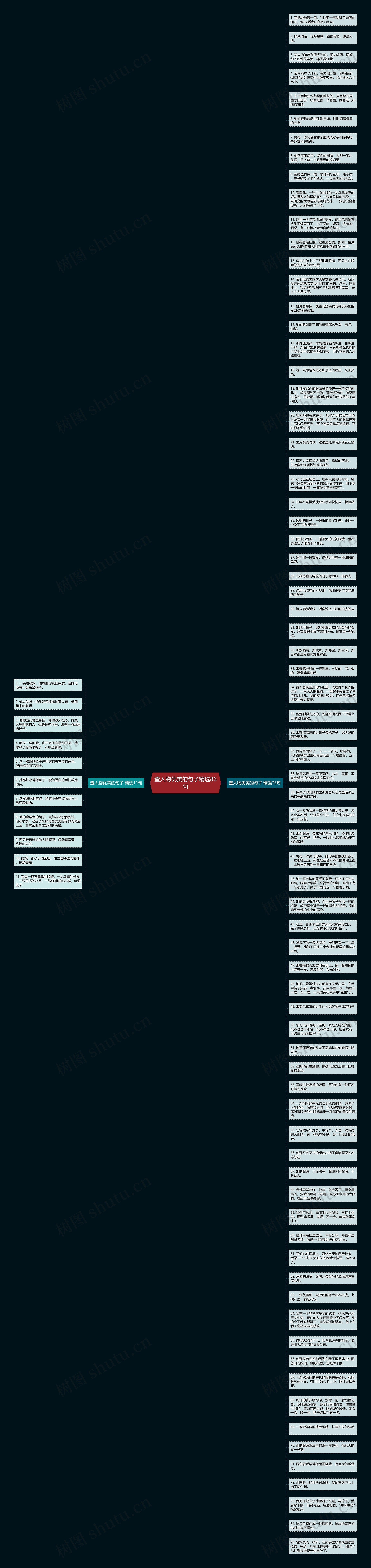 查人物优美的句子精选86句思维导图