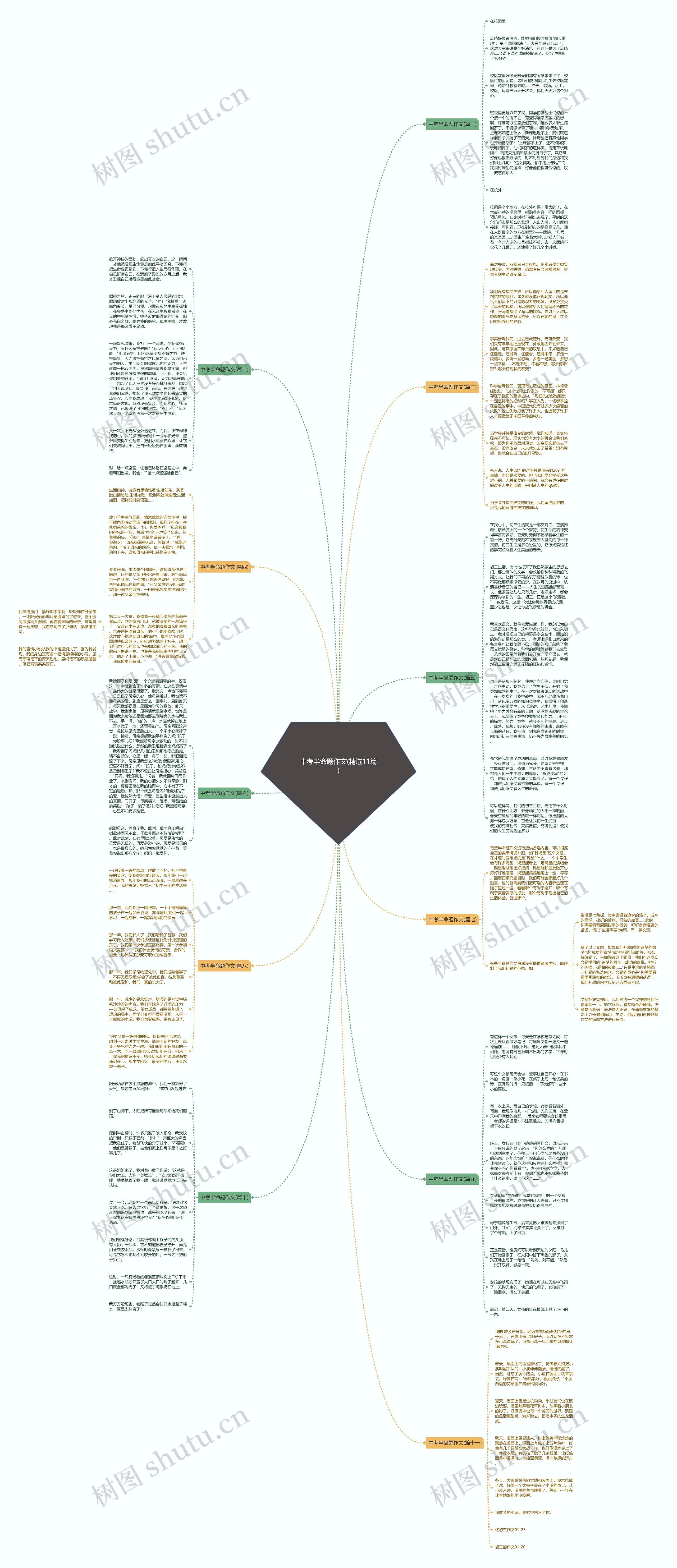 中考半命题作文(精选11篇)思维导图