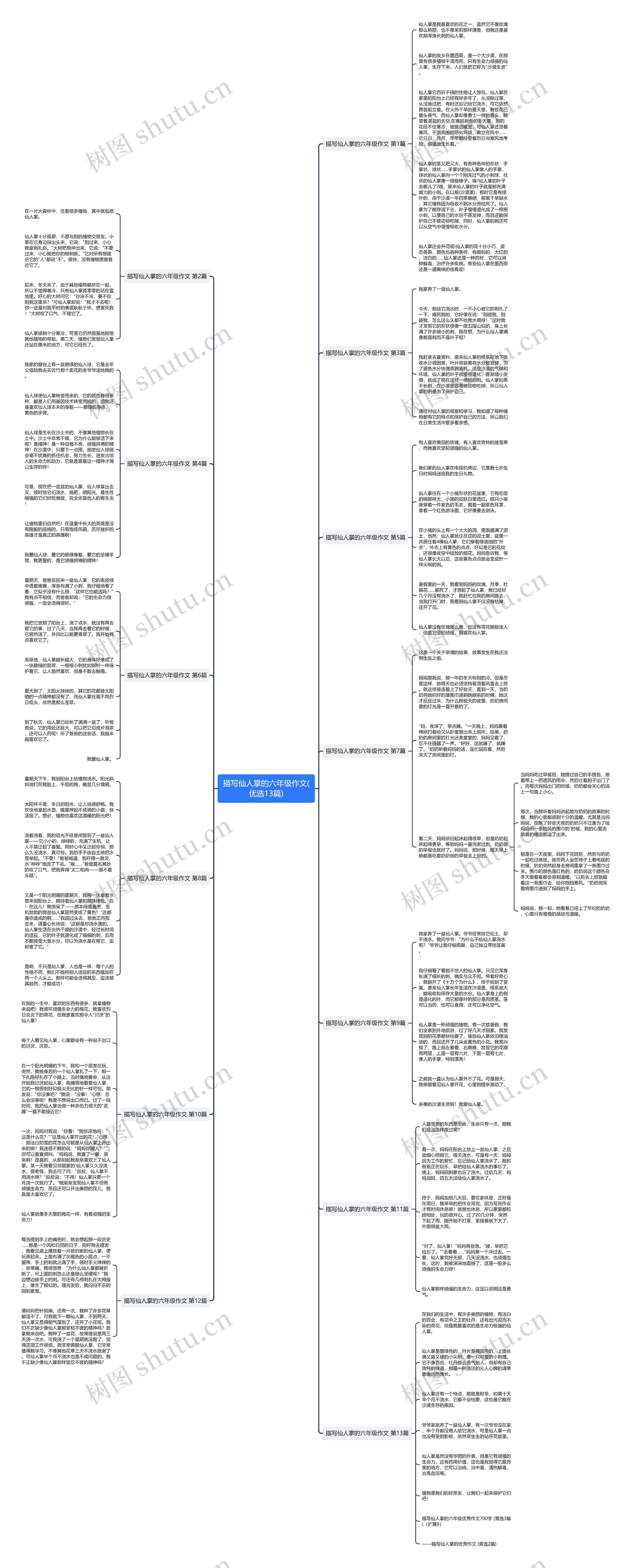 描写仙人掌的六年级作文(优选13篇)思维导图