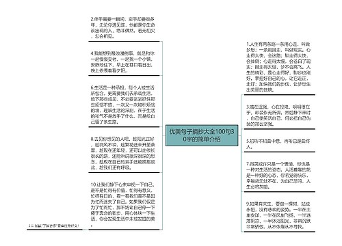 优美句子摘抄大全100句30字的简单介绍