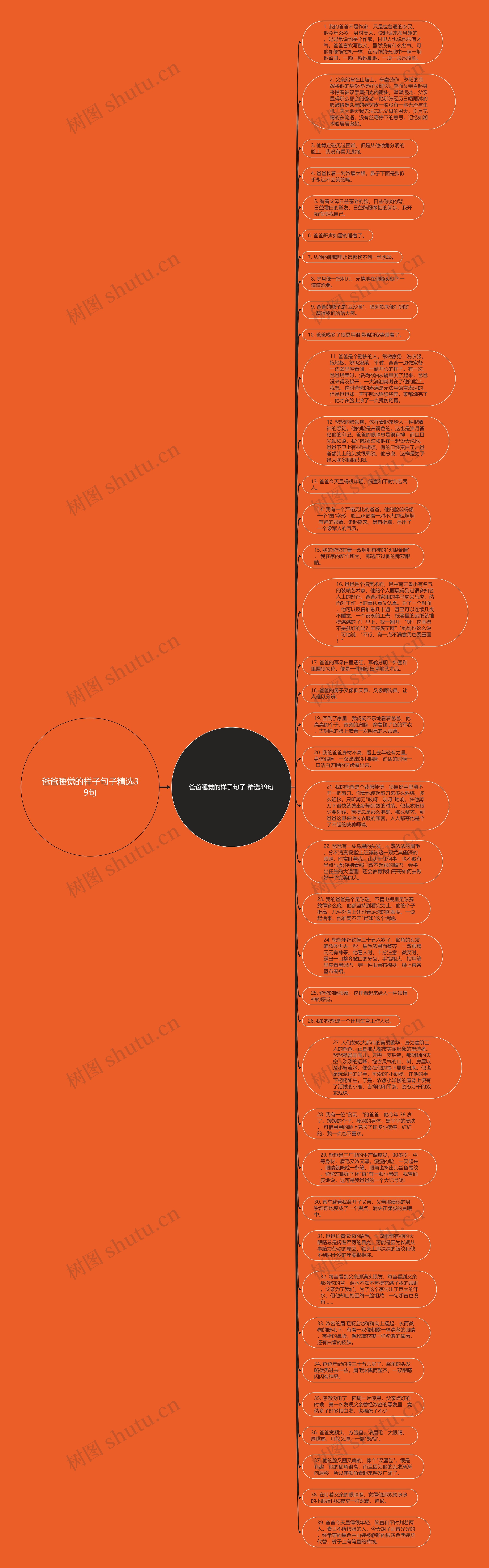 爸爸睡觉的样子句子精选39句思维导图
