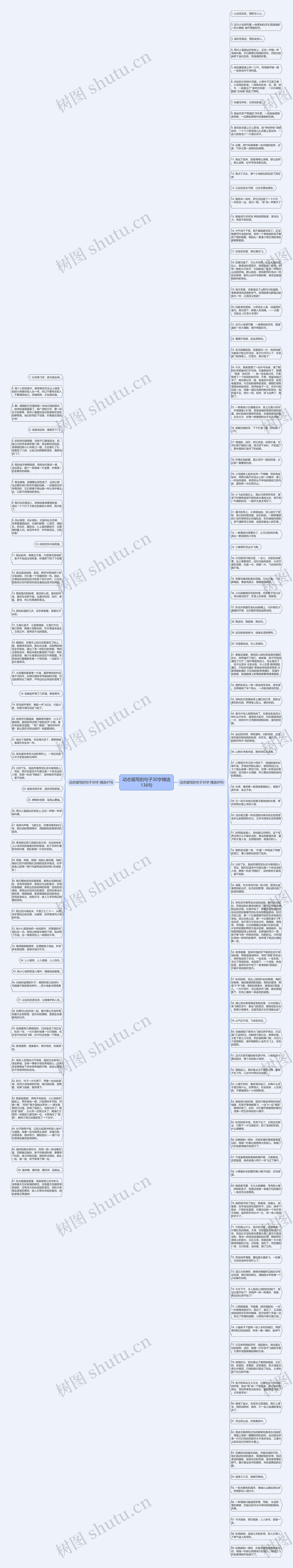 动态描写的句子30字精选136句思维导图