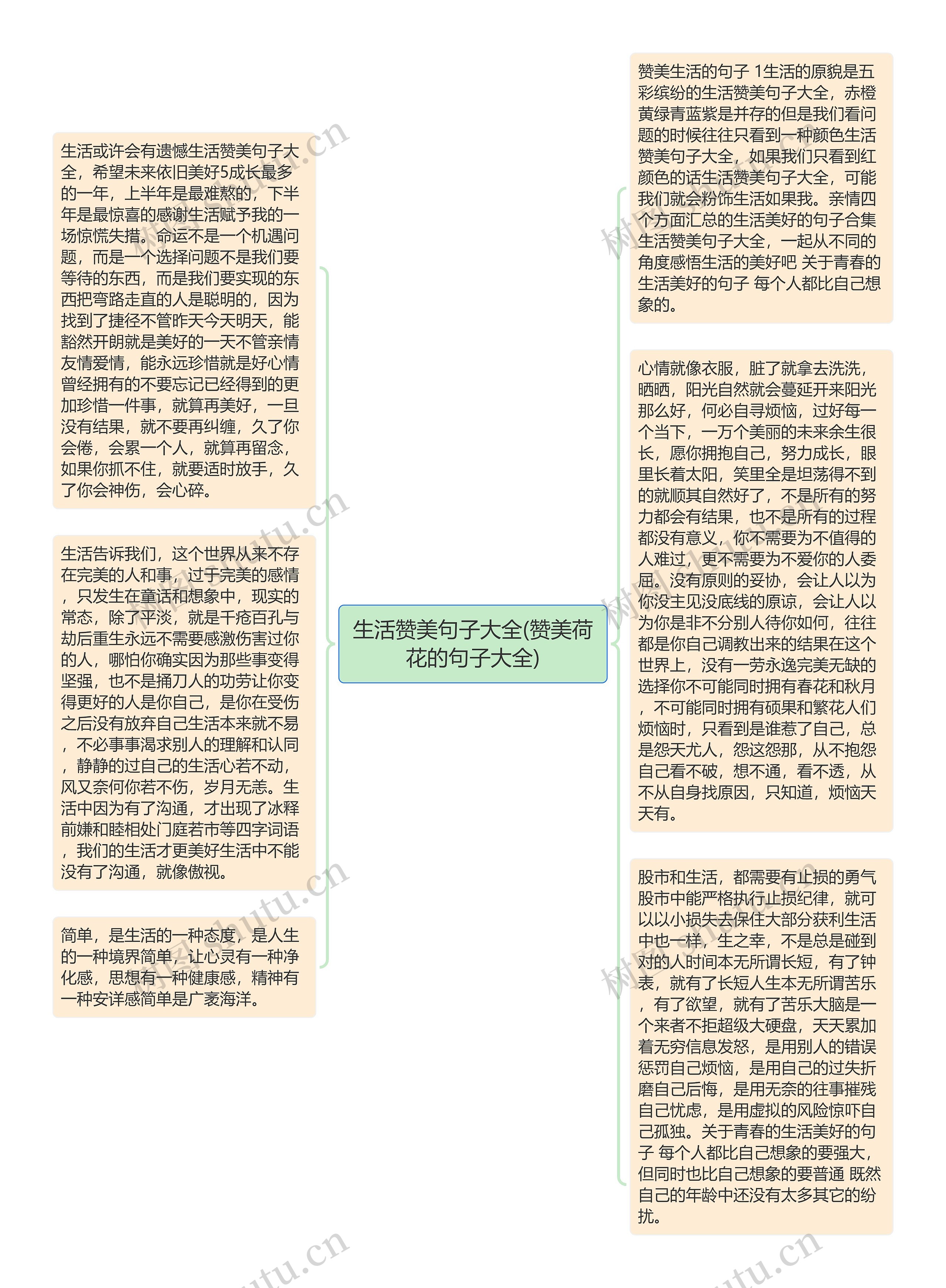 生活赞美句子大全(赞美荷花的句子大全)