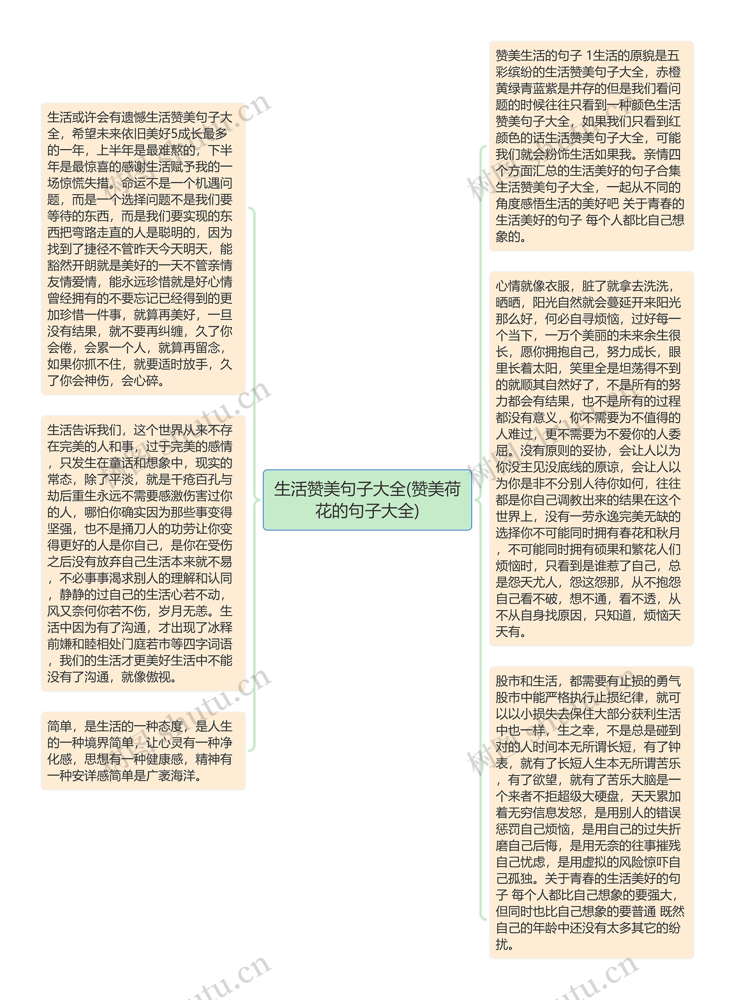 生活赞美句子大全(赞美荷花的句子大全)思维导图