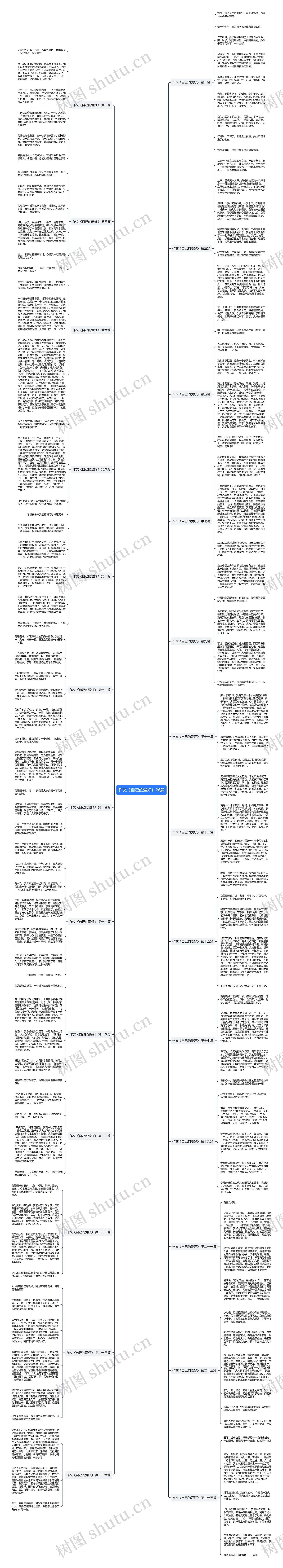 作文《自己的爱好》26篇思维导图