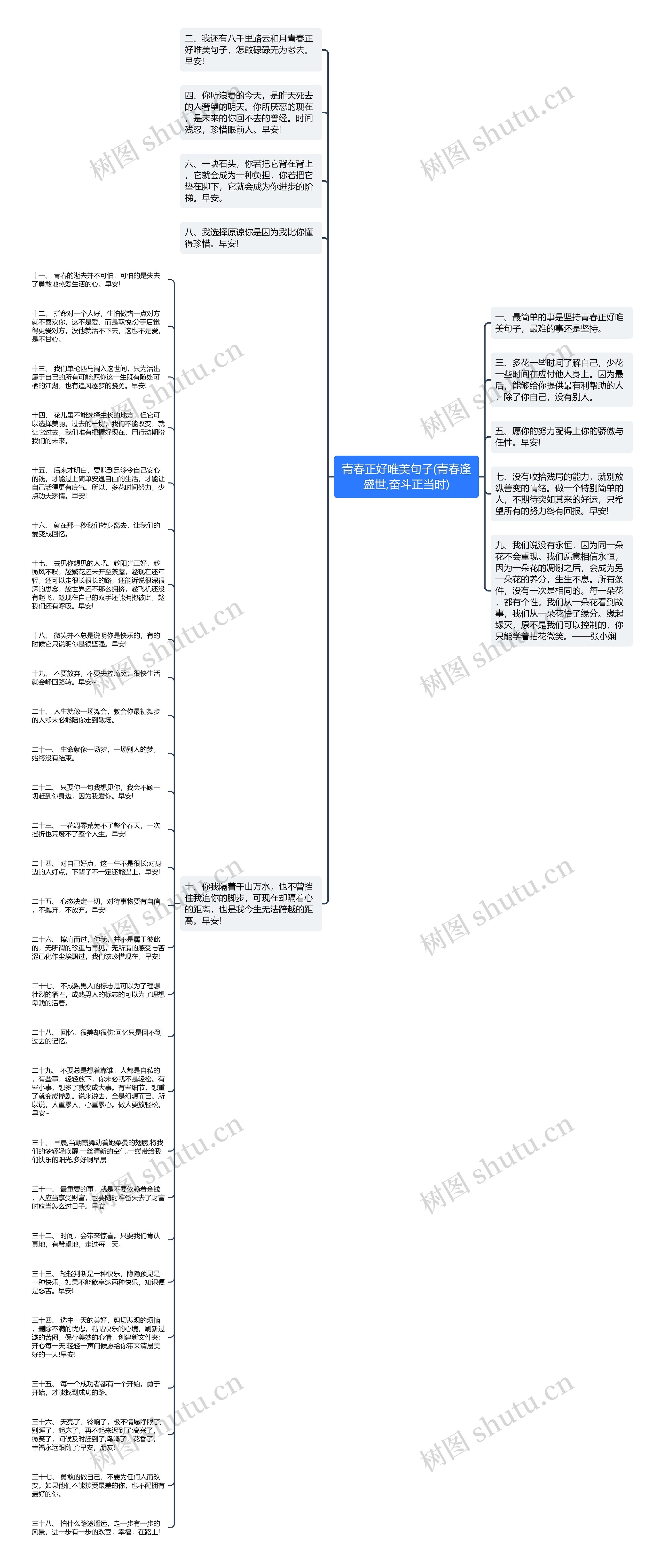 青春正好唯美句子(青春逢盛世,奋斗正当时)思维导图