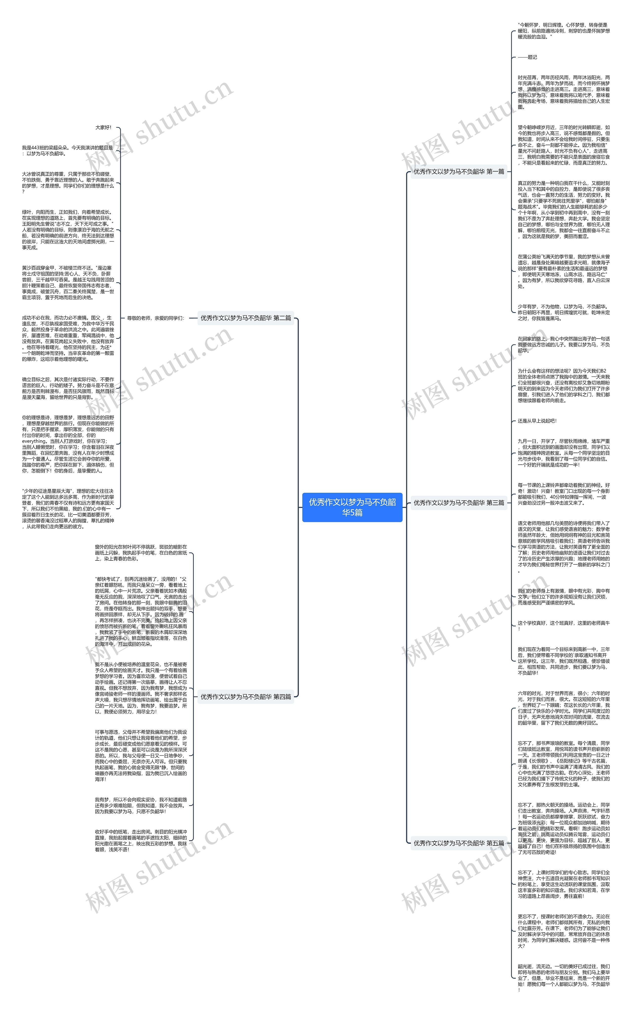 优秀作文以梦为马不负韶华5篇思维导图