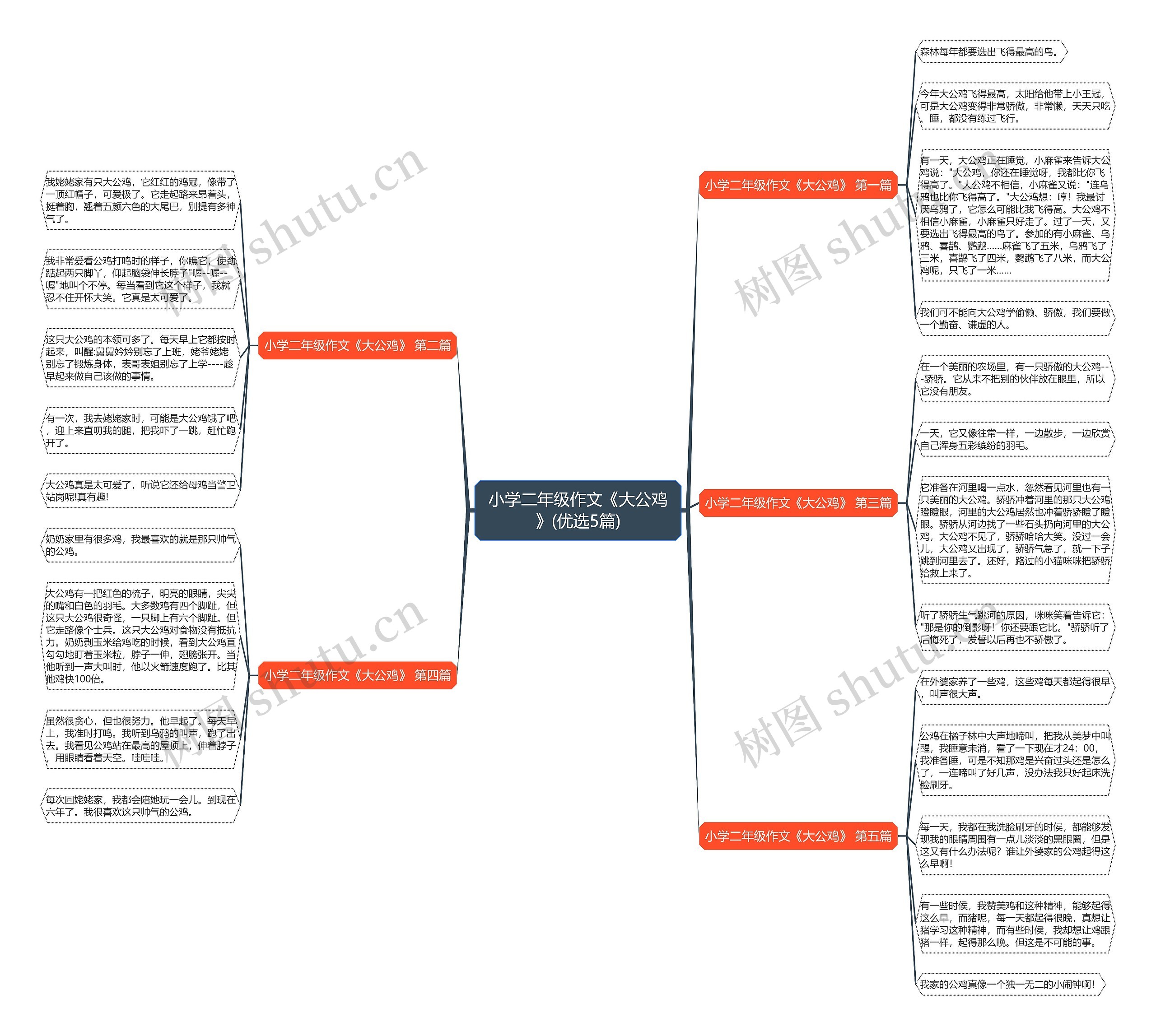 小学二年级作文《大公鸡》(优选5篇)思维导图